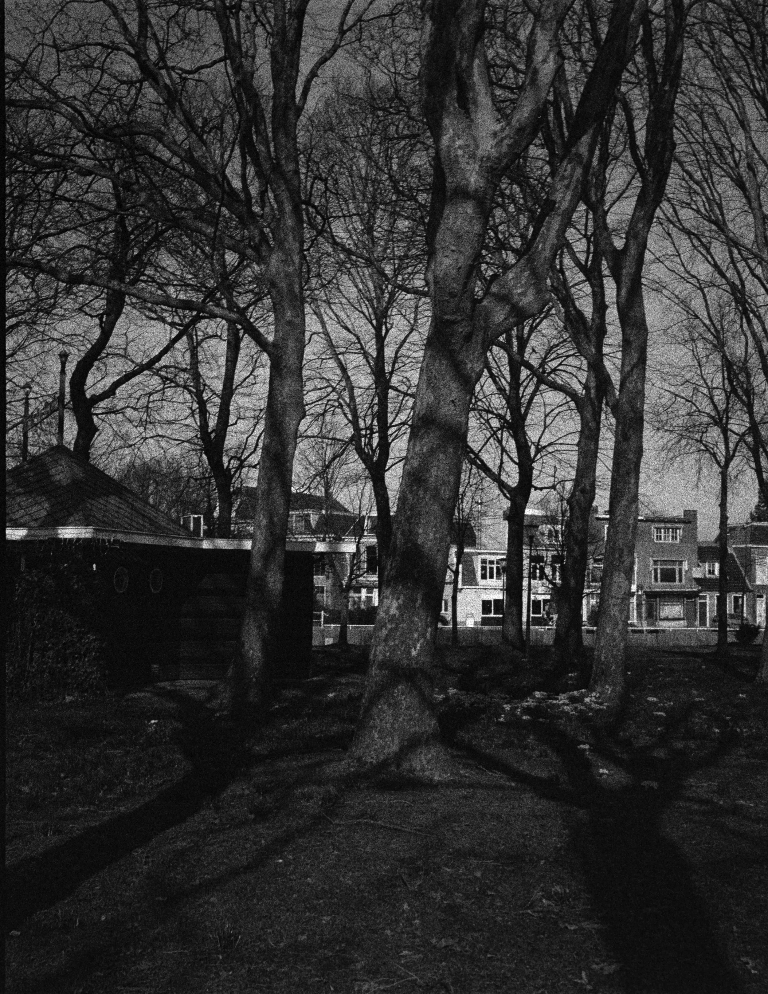 Gerben Vernhout--DSC00065.JPG