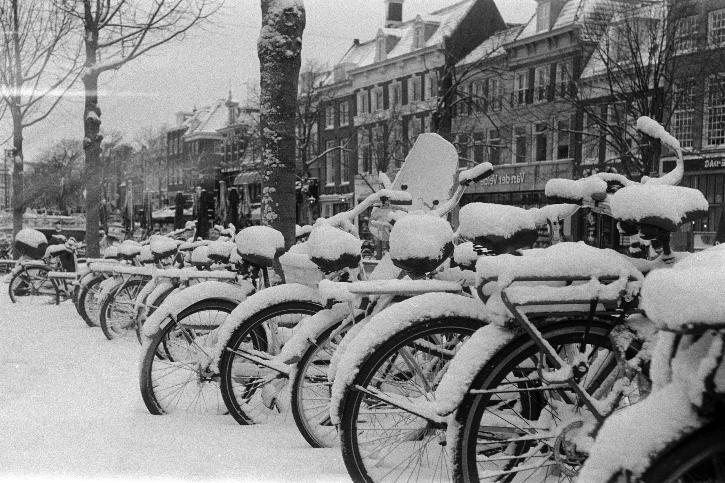 Gerben Vernhout--DSC00005.JPG