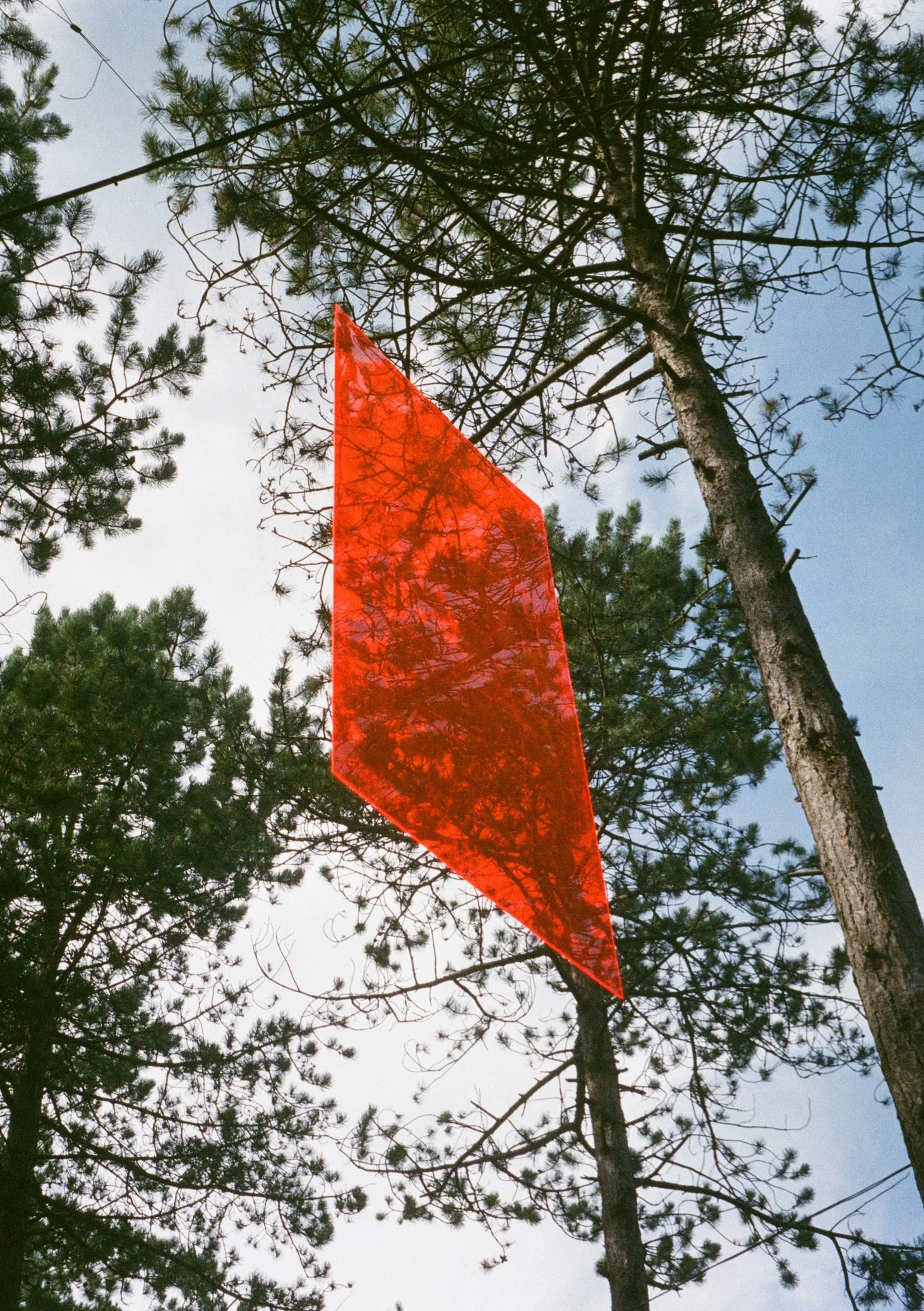 20231011-Into the great wide open 2023-40.jpg