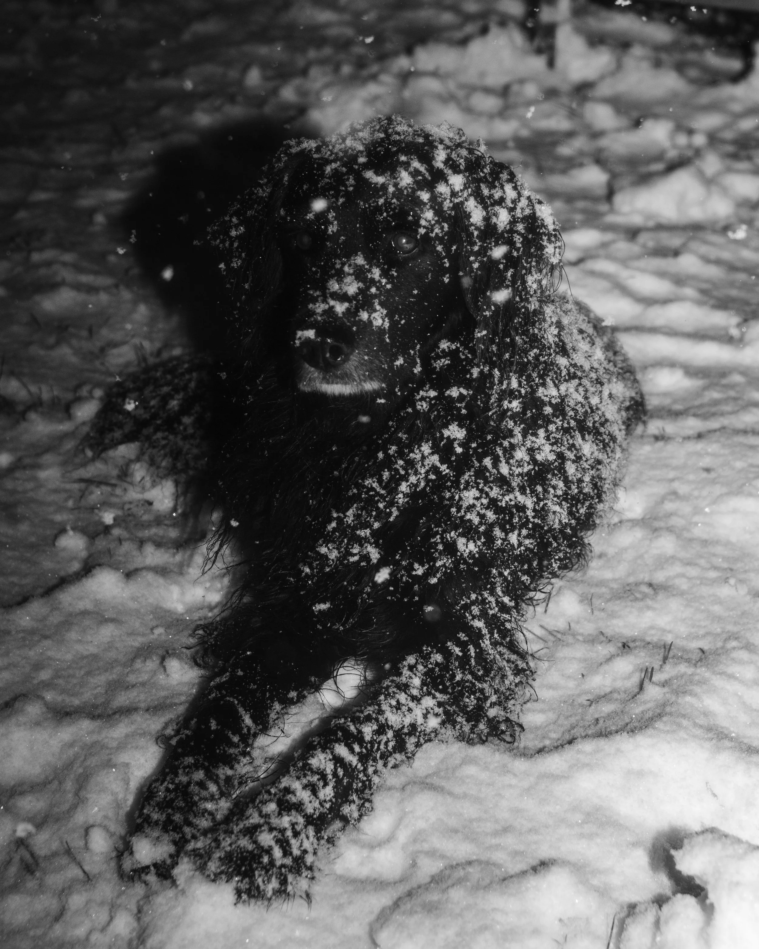 Gerben Vernhout--DSC04654.JPG