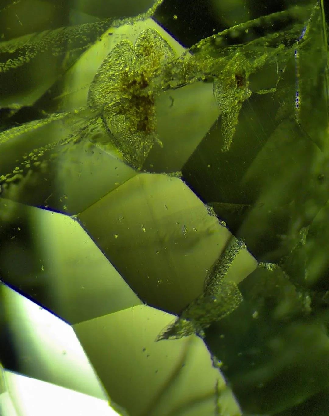 Inside a peridot, looking for lillypad inclusions #peridot #hobbylab #gemologist #gemology #hobby #gemidentification #gem #gemstones #gems #gemstone #cutgems #facetedgems #gemstoneslovers #gemstonecarving
