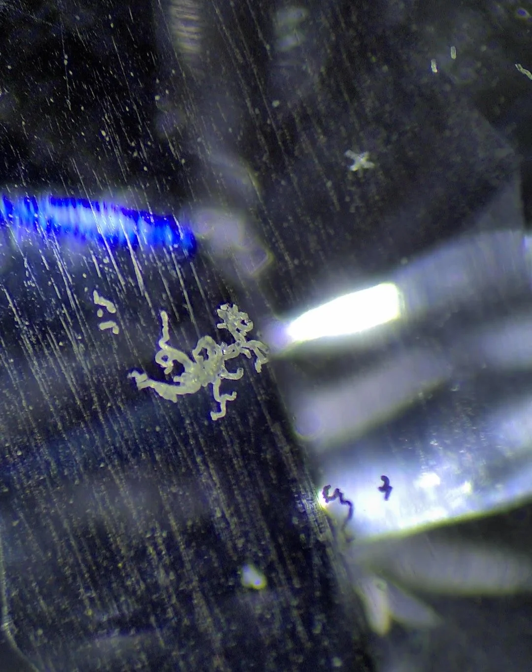 Perfection is overrated. This included quartz is so special # quartz #hobbylab #gemologist #gemology #hobby #gemidentification #gem #gemstones #gems #gemstone #cutgems #facetedgems #gemstoneslovers #gemstonecarving