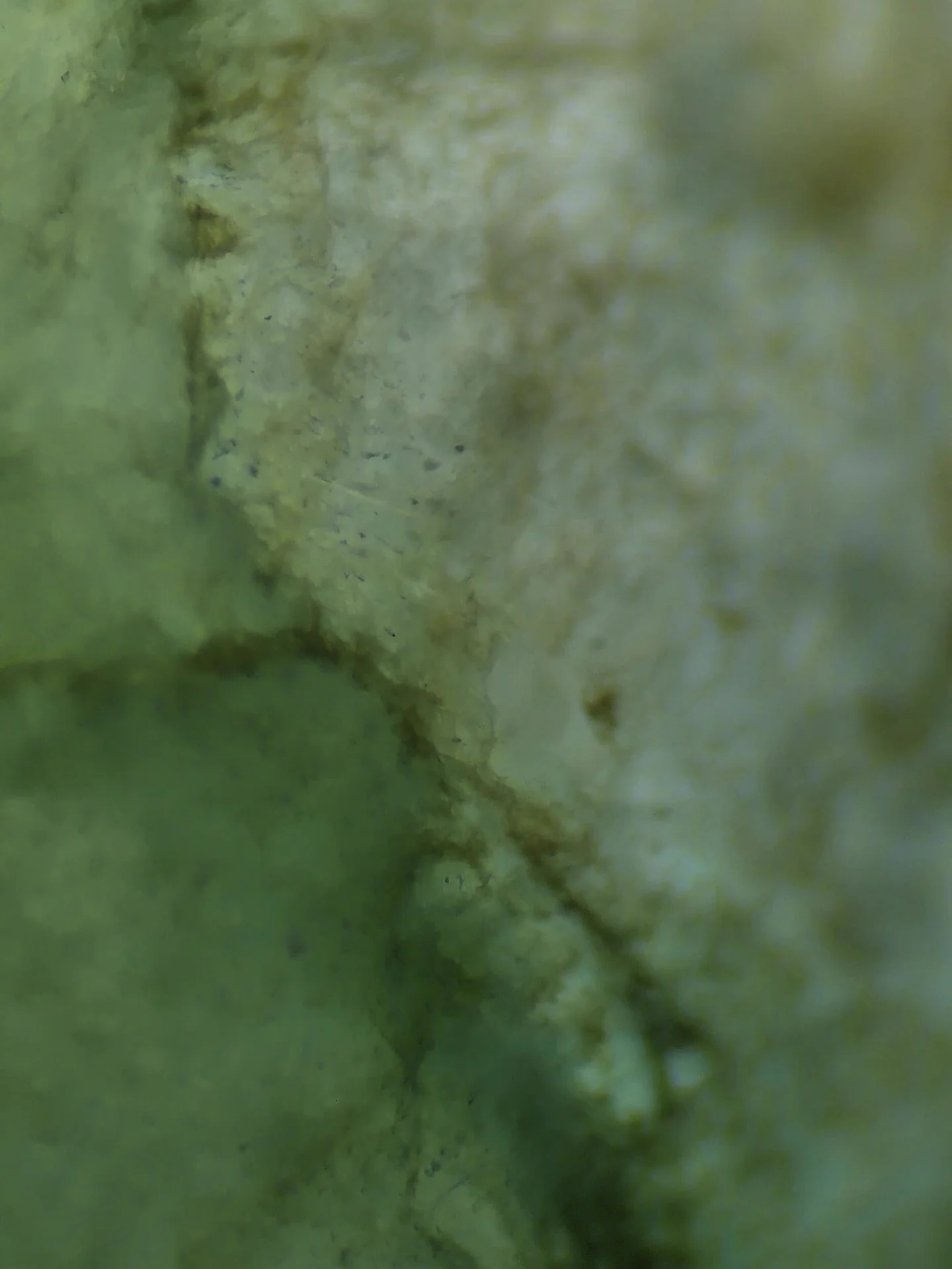 Jadeite Jade up close. Not the highest quality, but natural, untreated, and Burmese. #jadeite #jade #hobbylab #gemologist #gemology #hobby #gemidentification #gem #gemstone #cutgems #facetedgems #gemstoneslovers