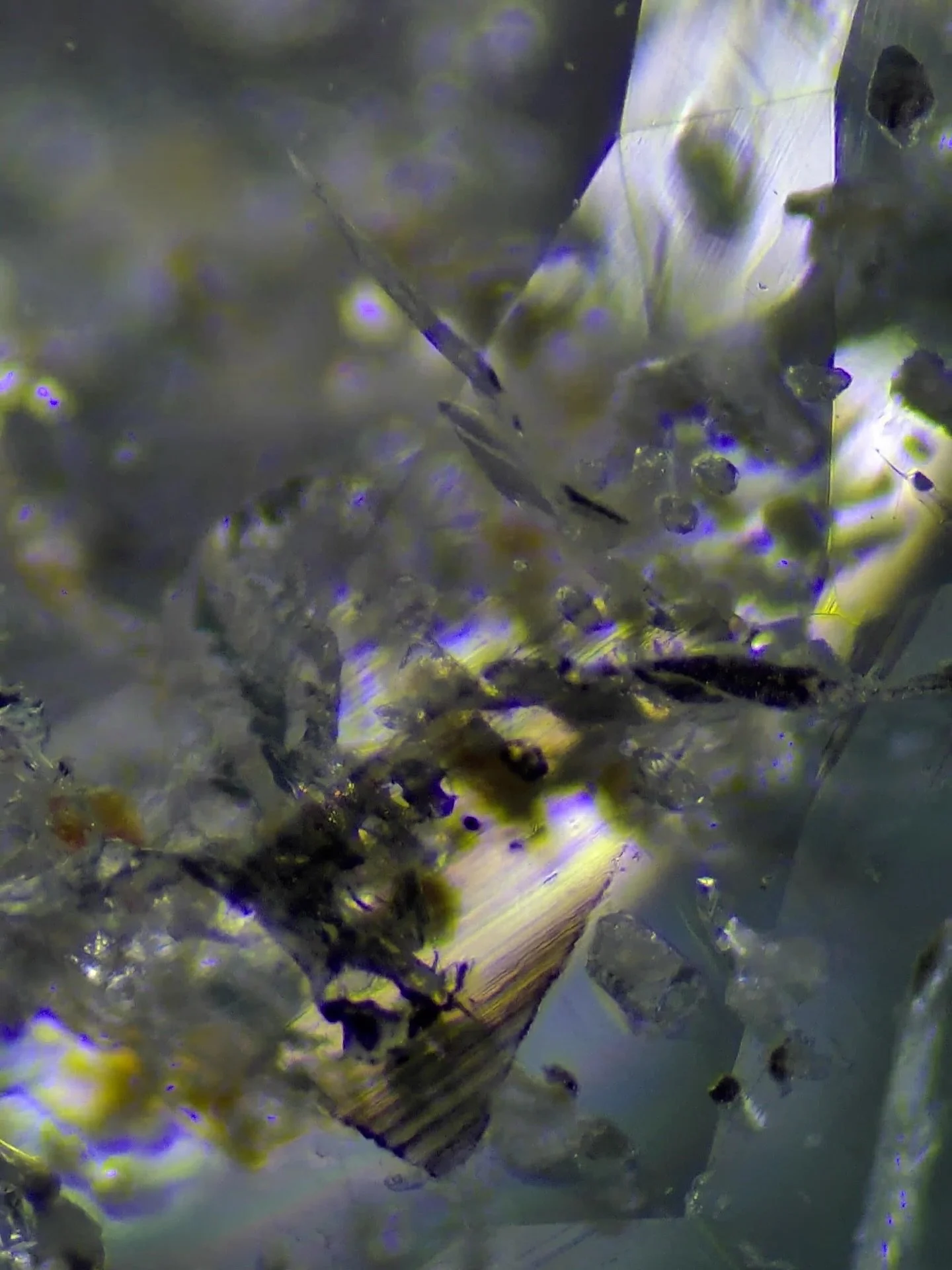 Black inclusion in Brazilian aquamarine #beryl #aquamarine #hobbylab #gemologist #gemology #hobby #gemidentification #gem #gemstone #cutgems #facetedgems #gemstoneslovers