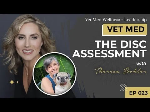 #023: VET MED - The DiSC Assessment with Theresa Bohler