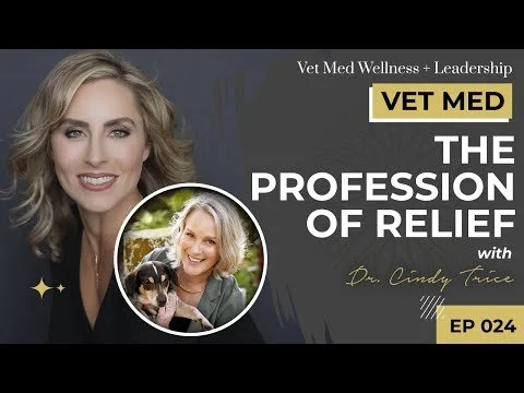 #024: VET MED - The Profession of Relief with Dr. Cindy Trice