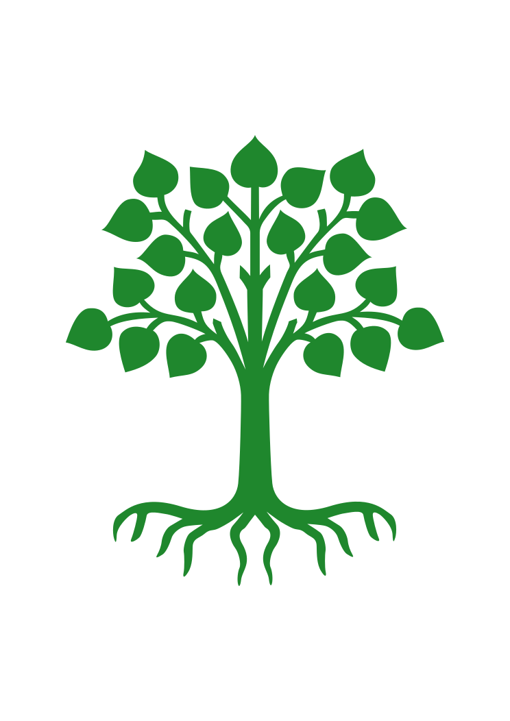 A green Linden tree with heart-shaped leaves and visible roots symbolizing growth and peace