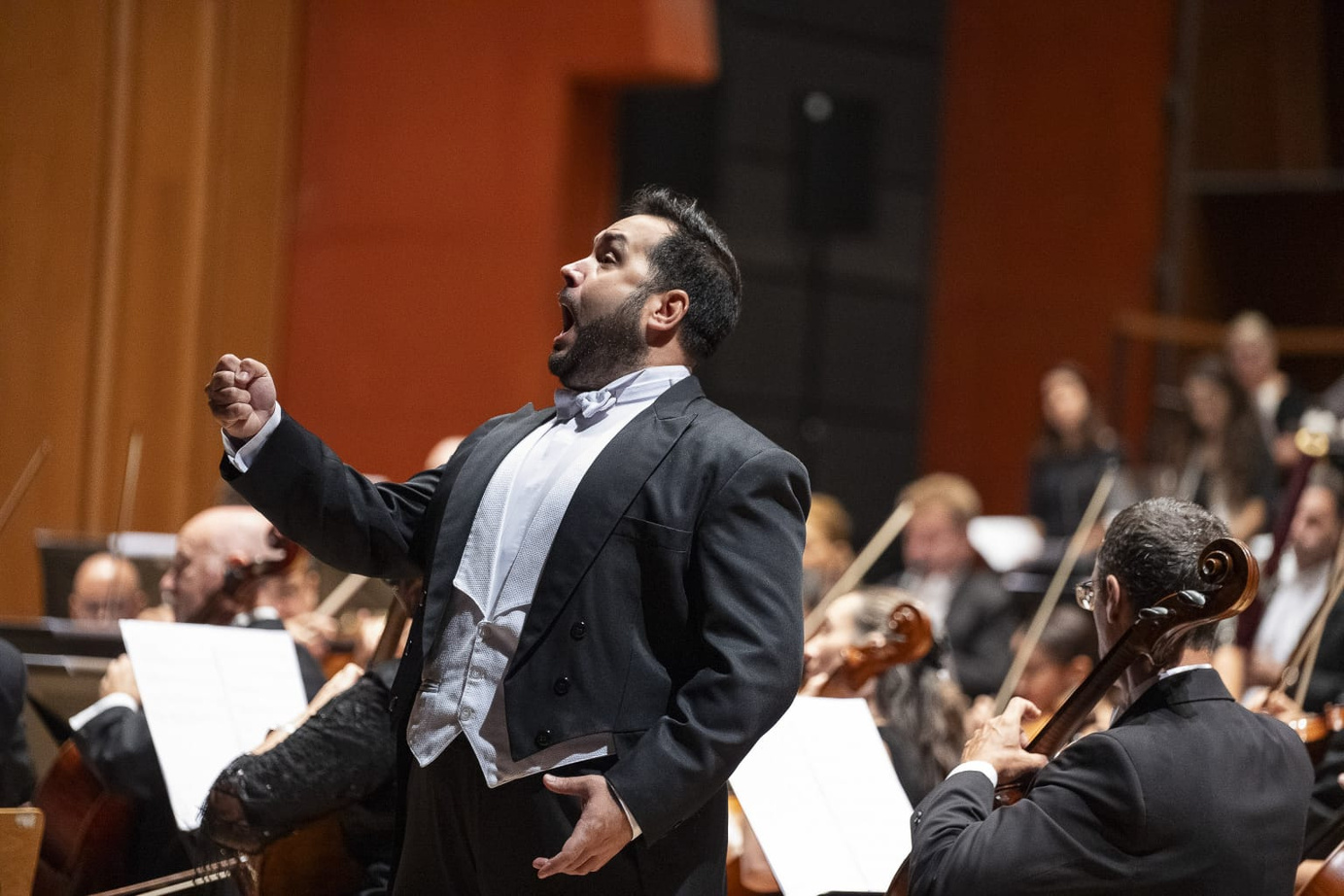 Un director de orquesta en plena acción, vestido con frac, dirigiendo una orquesta sinfónica en un concierto formal.