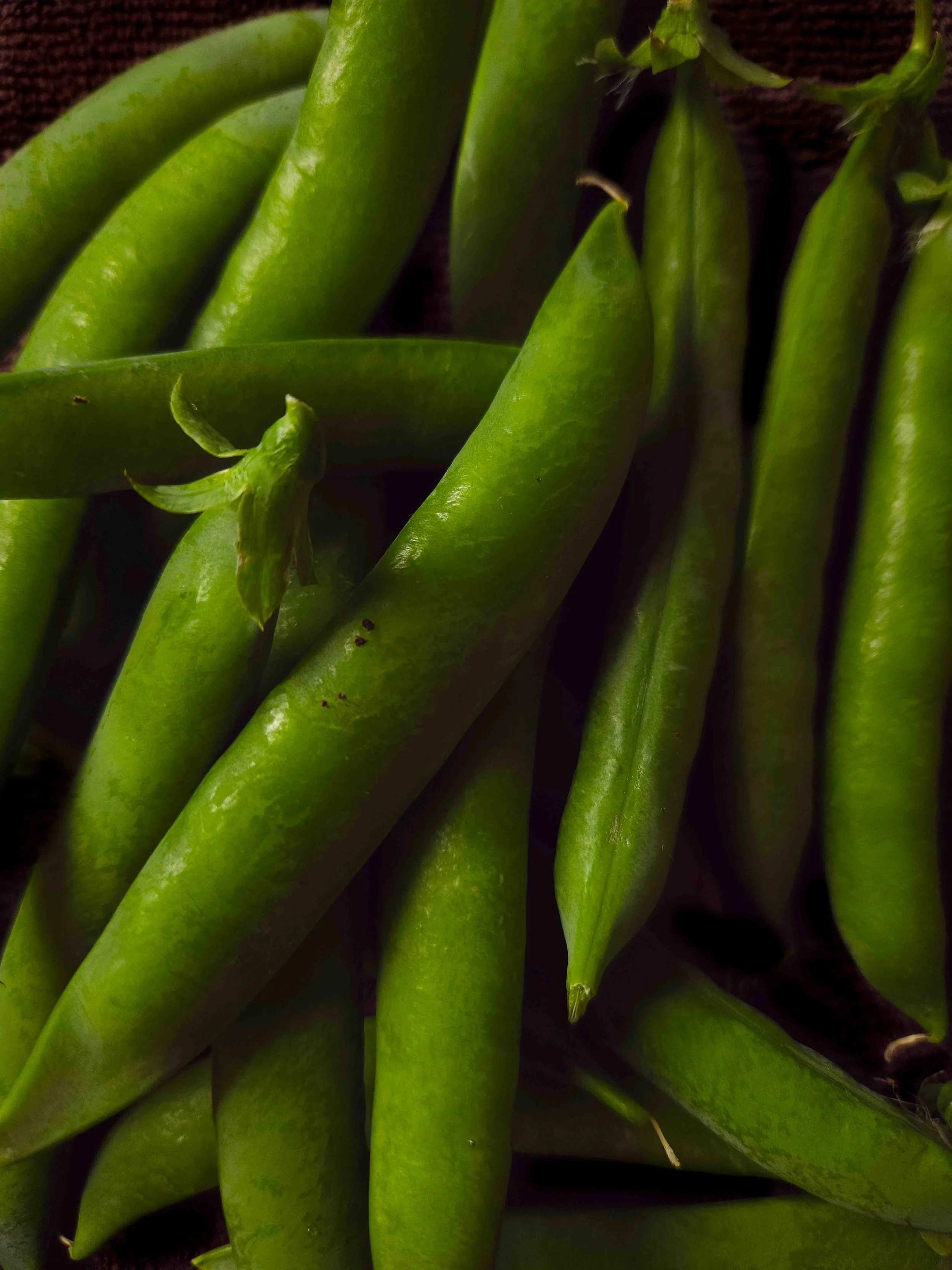 Garden Peas, and the Sound of Summer