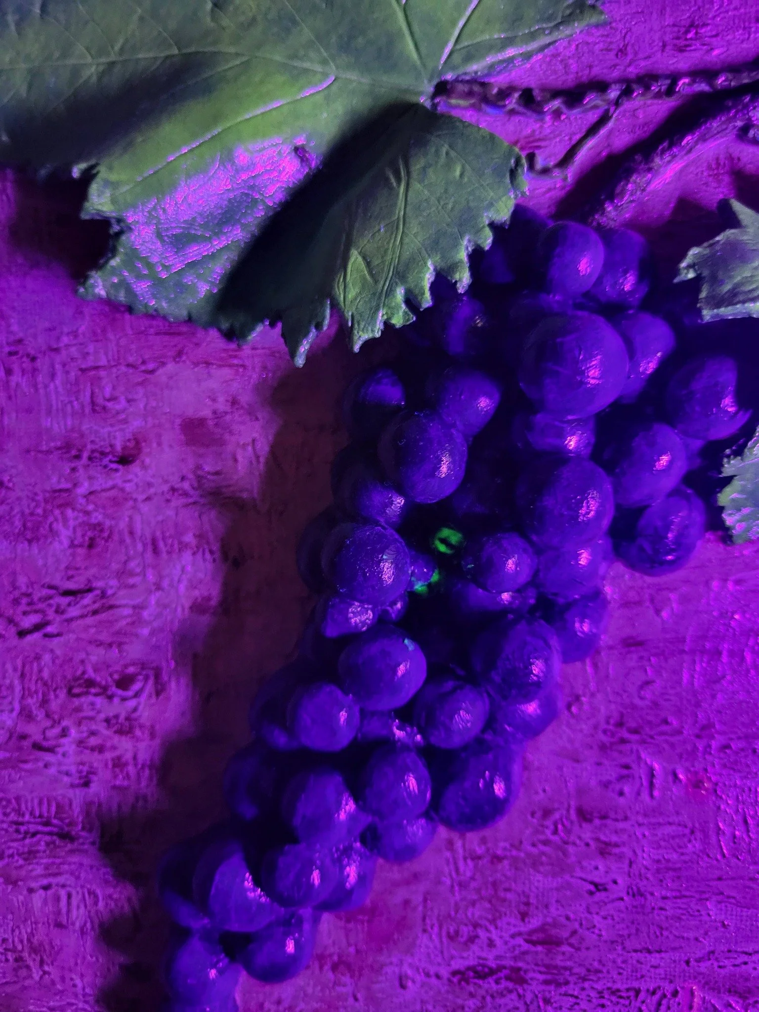 715930389_3205875989615685_8840657453597762835_n.jpg