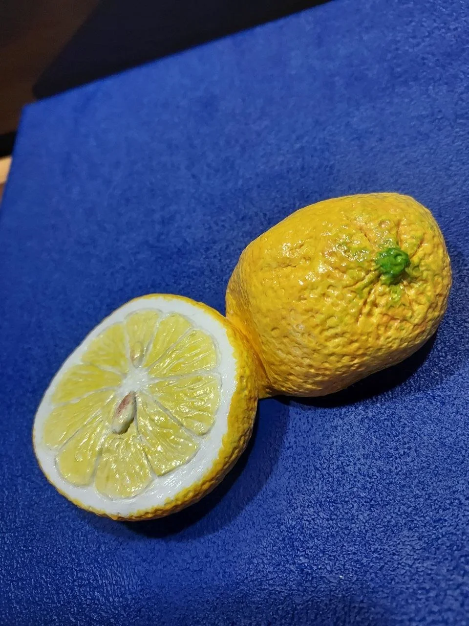 5884127783213010409 (1).jpg