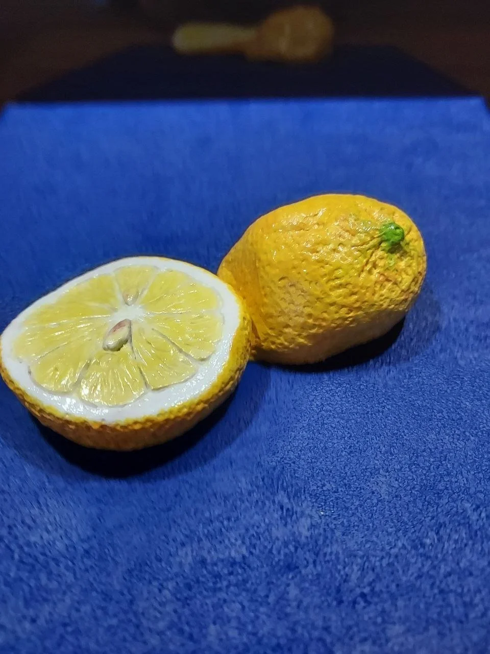 5884127783213010410 (1).jpg