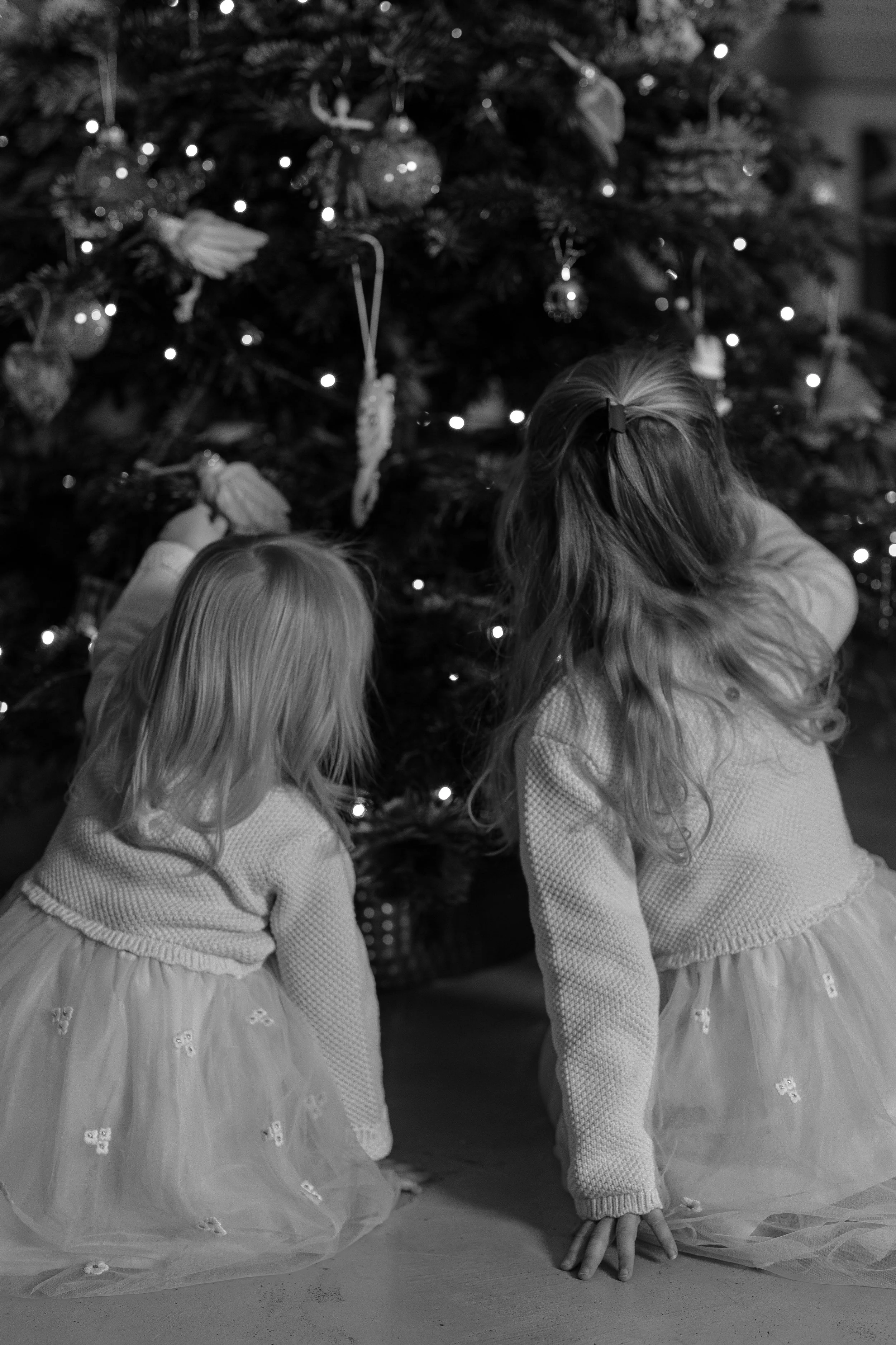 Cassie 09_12_2025-11.jpg