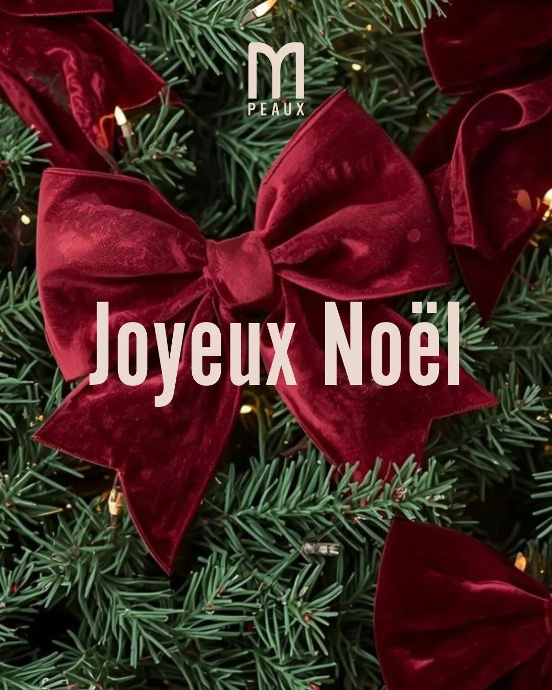 Joyeux No&euml;l ! 
Nous vous souhaitons une journ&eacute;e douce, lumineuse et entour&eacute;e de ceux que vous aimez.

Merci pour votre confiance depuis notre ouverture en septembre.
Prendre soin de vous est notre plus beau cadeau 🤍

Profitez, res