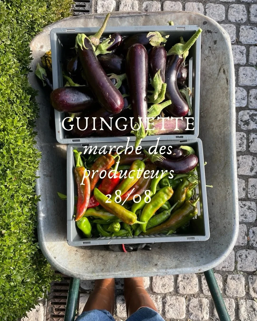 La Ferme de la Tour du Pin &agrave; Saint-&Eacute;milion vous ouvre ses portes pour un moment convivial et gourmand !

Le mercredi 28 ao&ucirc;t, &agrave; partir de 16h, venez profiter :

🍅D&rsquo;un march&eacute; de producteurs et artisans locaux (