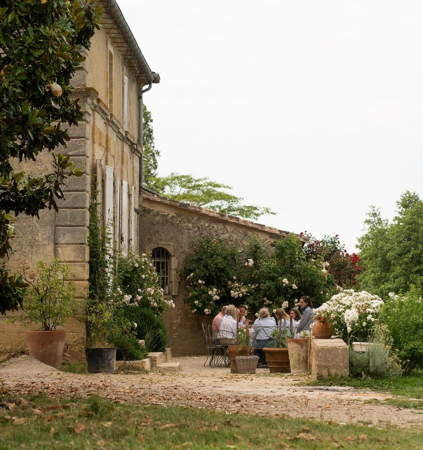 ROUGERIE, un v&eacute;ritable havre de paix dans l&rsquo;entre-deux-mers. Ici, initiation &agrave; la d&eacute;gustation par Ana&iuml;s. Chaque participant est accompagn&eacute; d&rsquo;un carnet d&rsquo;apprentissage 🍷

📸 @helo_filmmaker 

#rouger