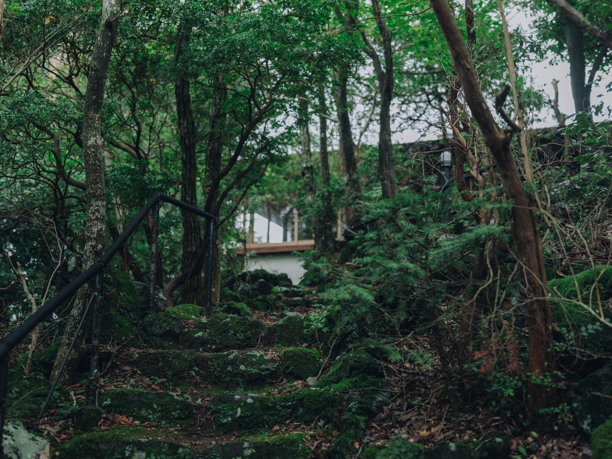 実は、仲の良いメンバー4人で運営しています。

それぞれの視点で「これがあったら最高だよね」を詰め込んだのが、このHYAKKEI Hanareです。

「安曇野の朝の空気、最高だよね」「伊豆の温泉で波音聞くの、贅沢すぎない？」そんな、僕たちが心から「良い」と思う風景を共有したくて。

プロのホテルマンじゃないからこそできる、等身大の「心地よさ」を追求しています。次はどの景色をリノベしようか、いつも4人でワクワクしながら相談中。

#運営の裏側 #旅するように暮らす #貸別荘ライフ #週末旅行 #