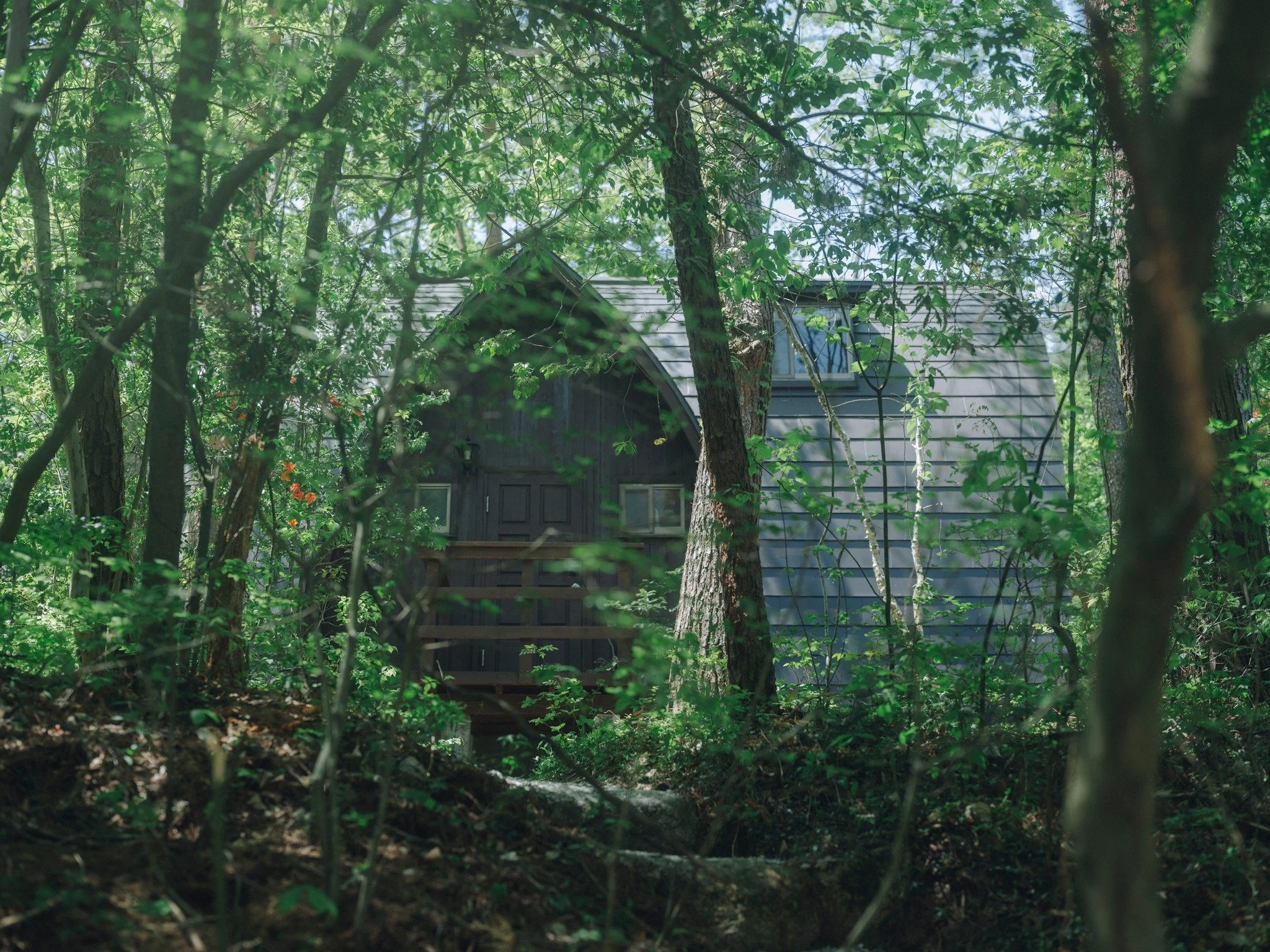 新しい1週間の始まり。

今週も駆け抜ける自分に、少し先の「休息」を予約しませんか。

安曇野のMine、伊豆のNagi。
どちらも僕たちが「本当に帰りたくなる場所」を目指して整えた場所です。スマホを置いて、ただ景色を眺める贅沢。

そんな時間を楽しみに、今週も頑張りましょう。

#HYAKKEIHanare #月曜日 #ワーケーション #自分へのご褒美 #安曇野 #伊豆