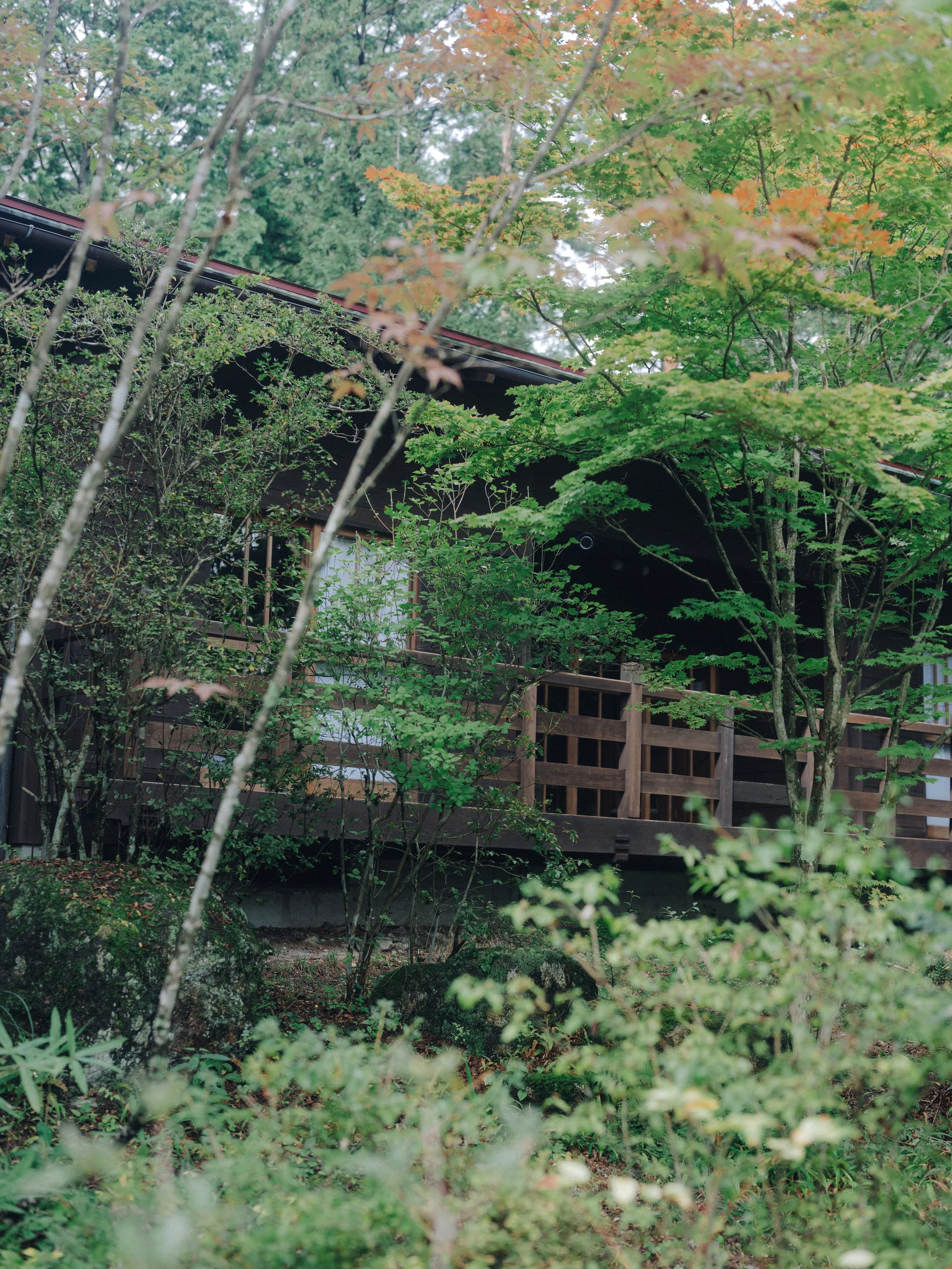 木々に囲まれた伝統的な木造建築の建物。緑と秋の色合いの葉が強調されている。