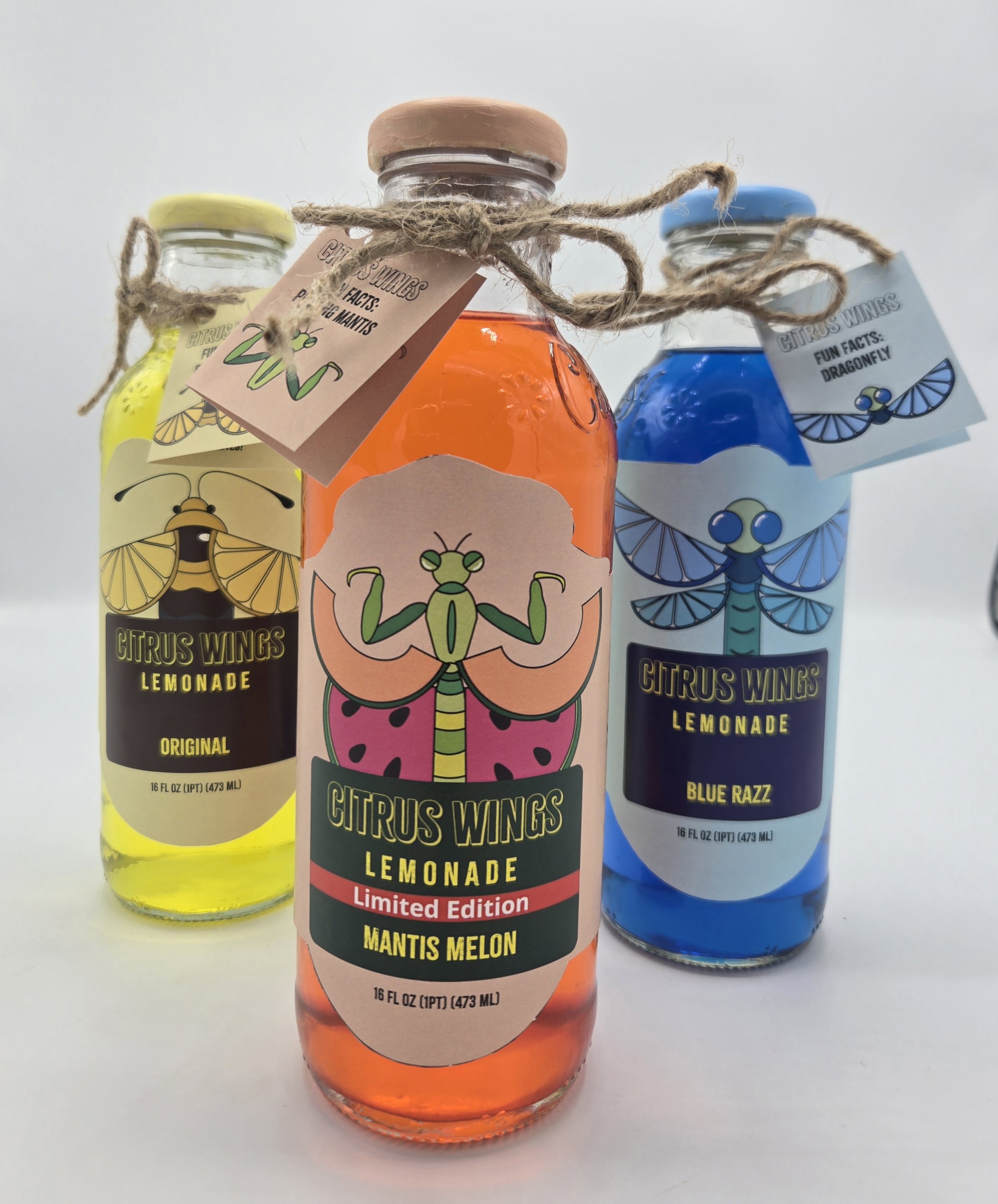 Challenge:
Create the branding and labels for a imaginary beverage brand including a nutrition facts label, ingredients list, brand description and logo.
Process:
I started by researching lemonade brands and competitor designs. Afte