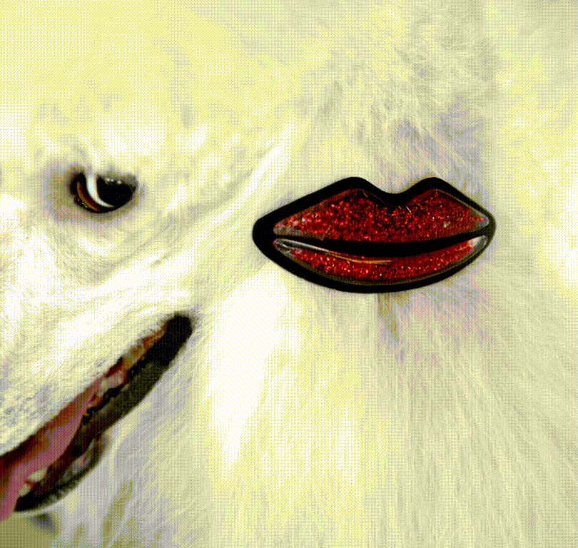 Hailuo_Video_make dog blink just the eye_439986049454948356.gif