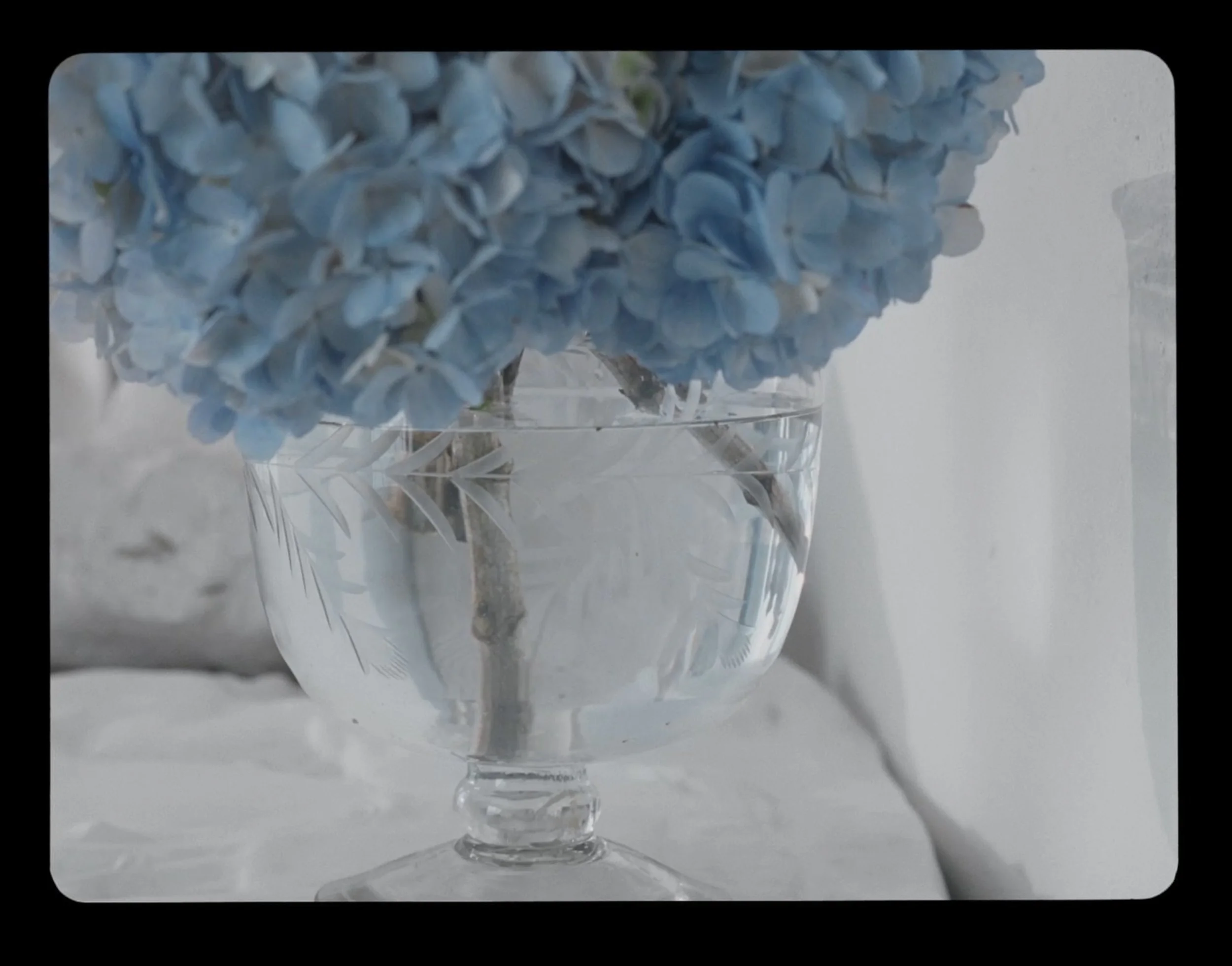 Screen Shot 2023-05-18 at 7.42.12 PM.jpg