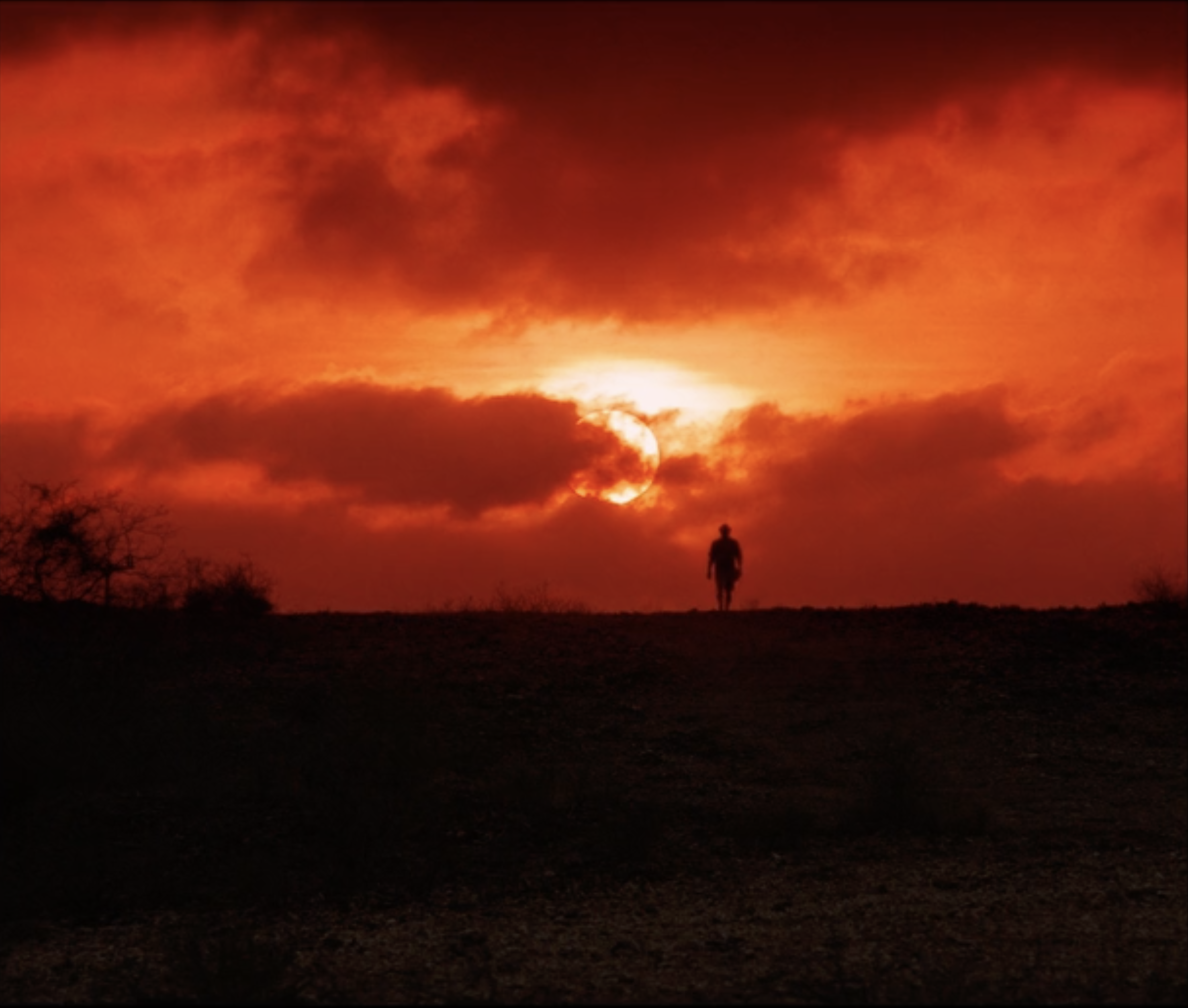 do pré-homem à revolta