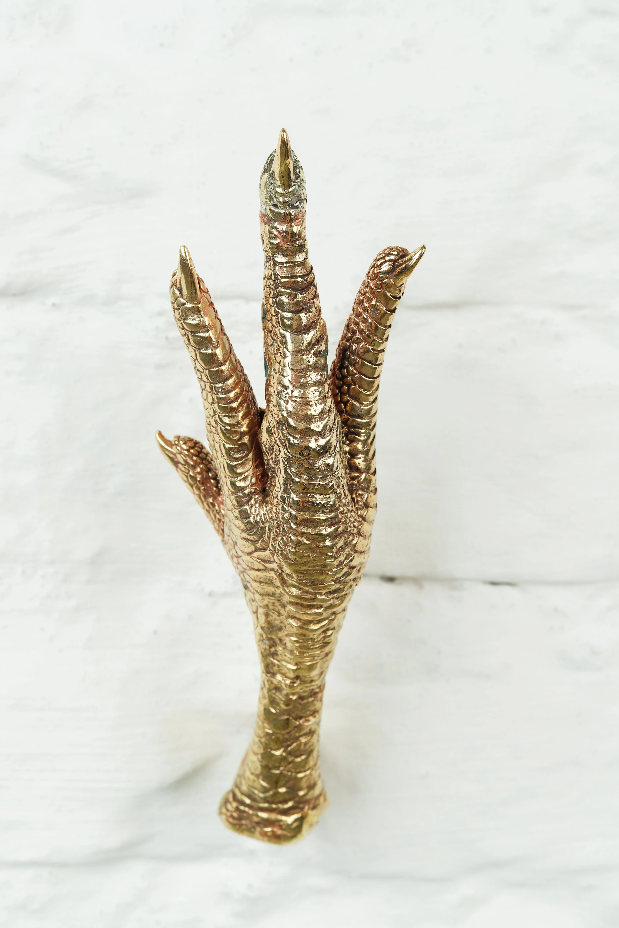 Amarello MESA-188.jpg