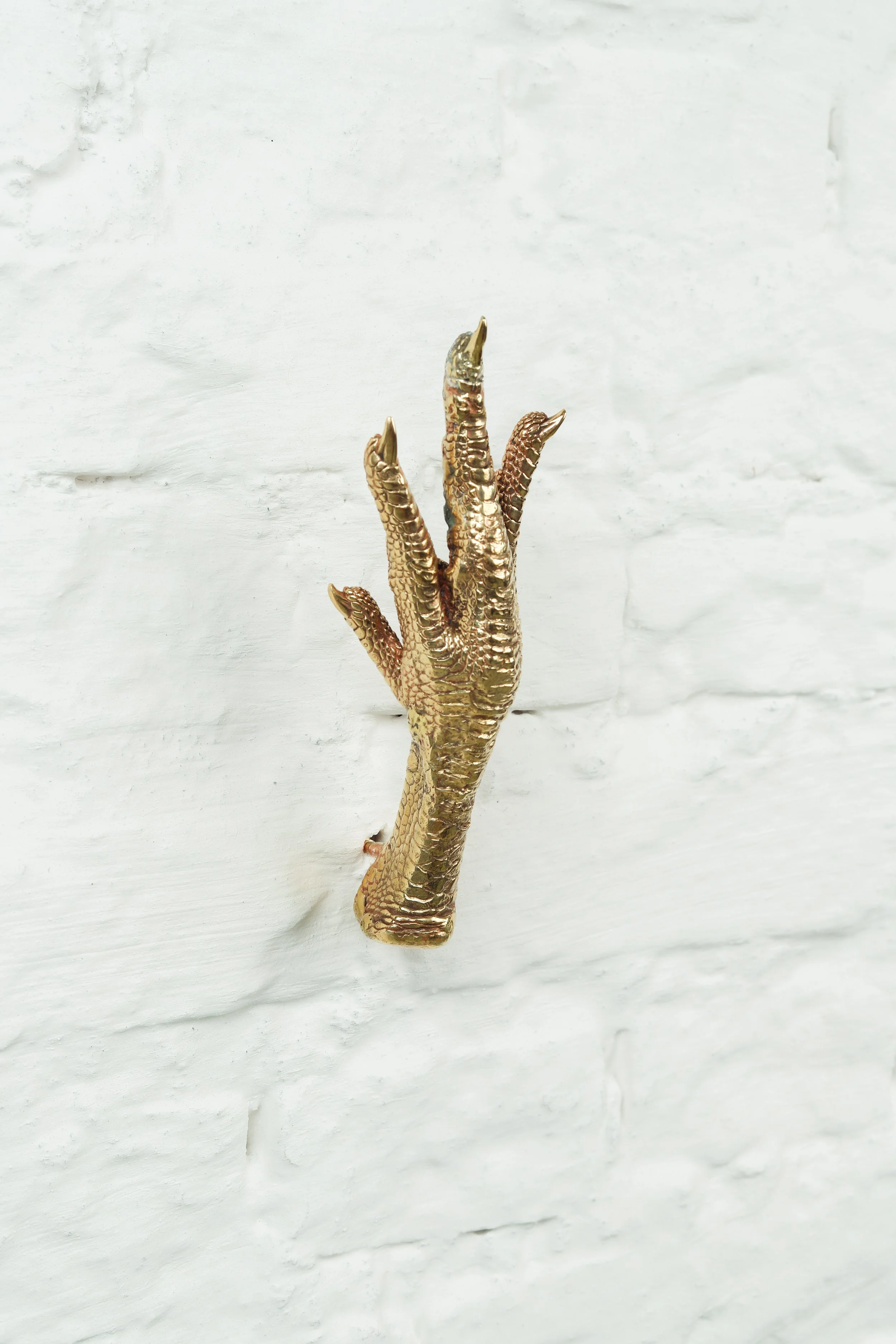 Amarello MESA-187.jpg