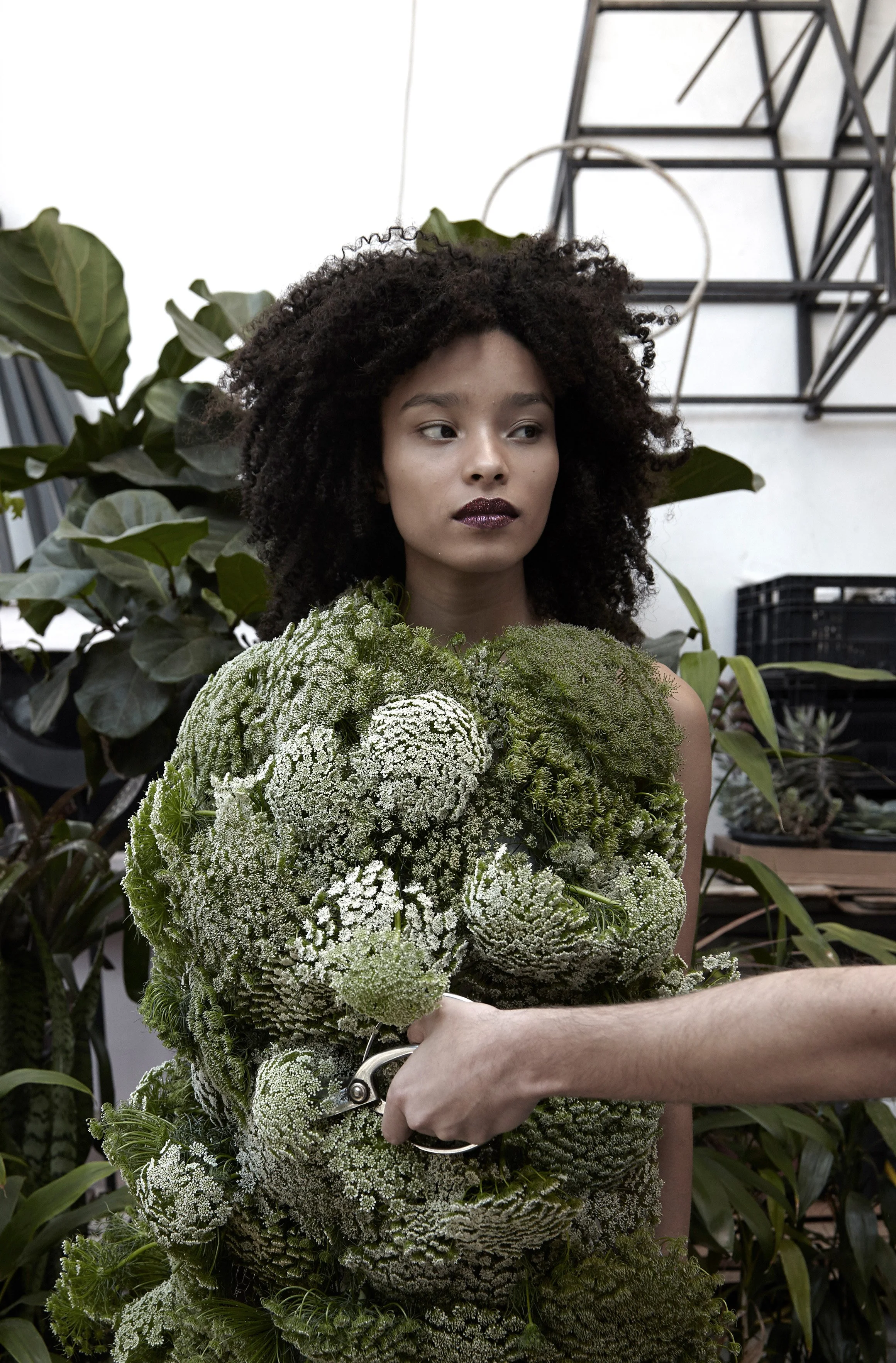 IMG_7340 copy_edit.jpg