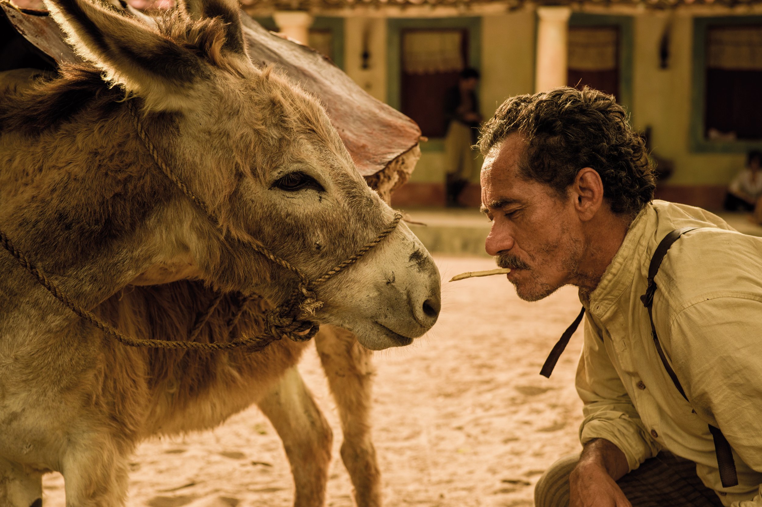 20160118 CF Velho Chico-6.jpg