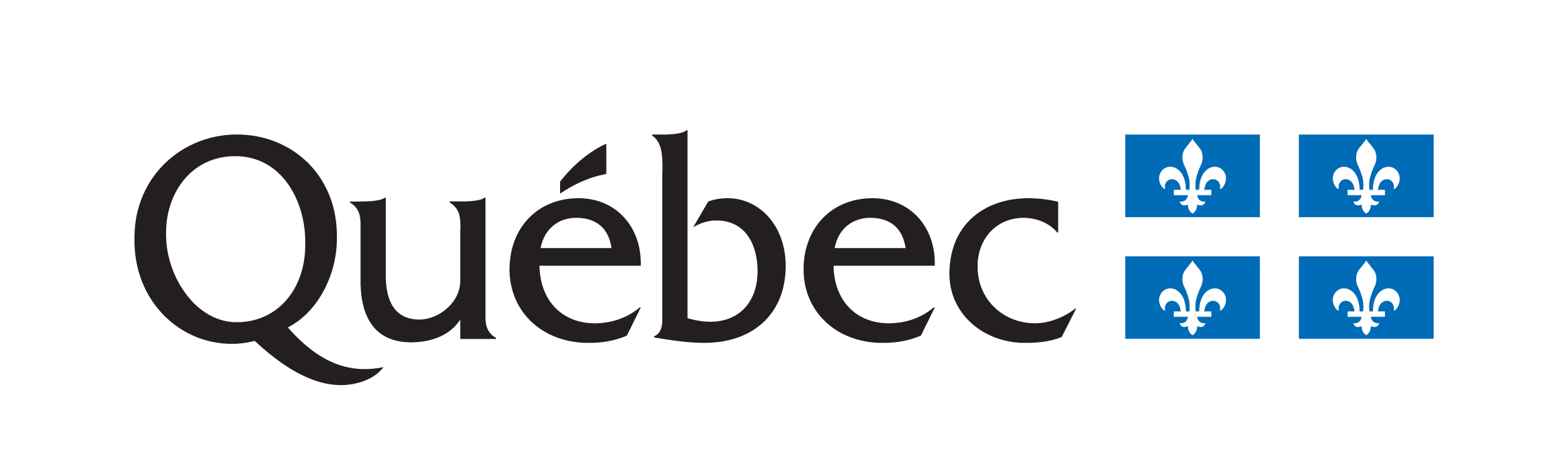 Gouvernement du Québec, partenaire gouvernemental