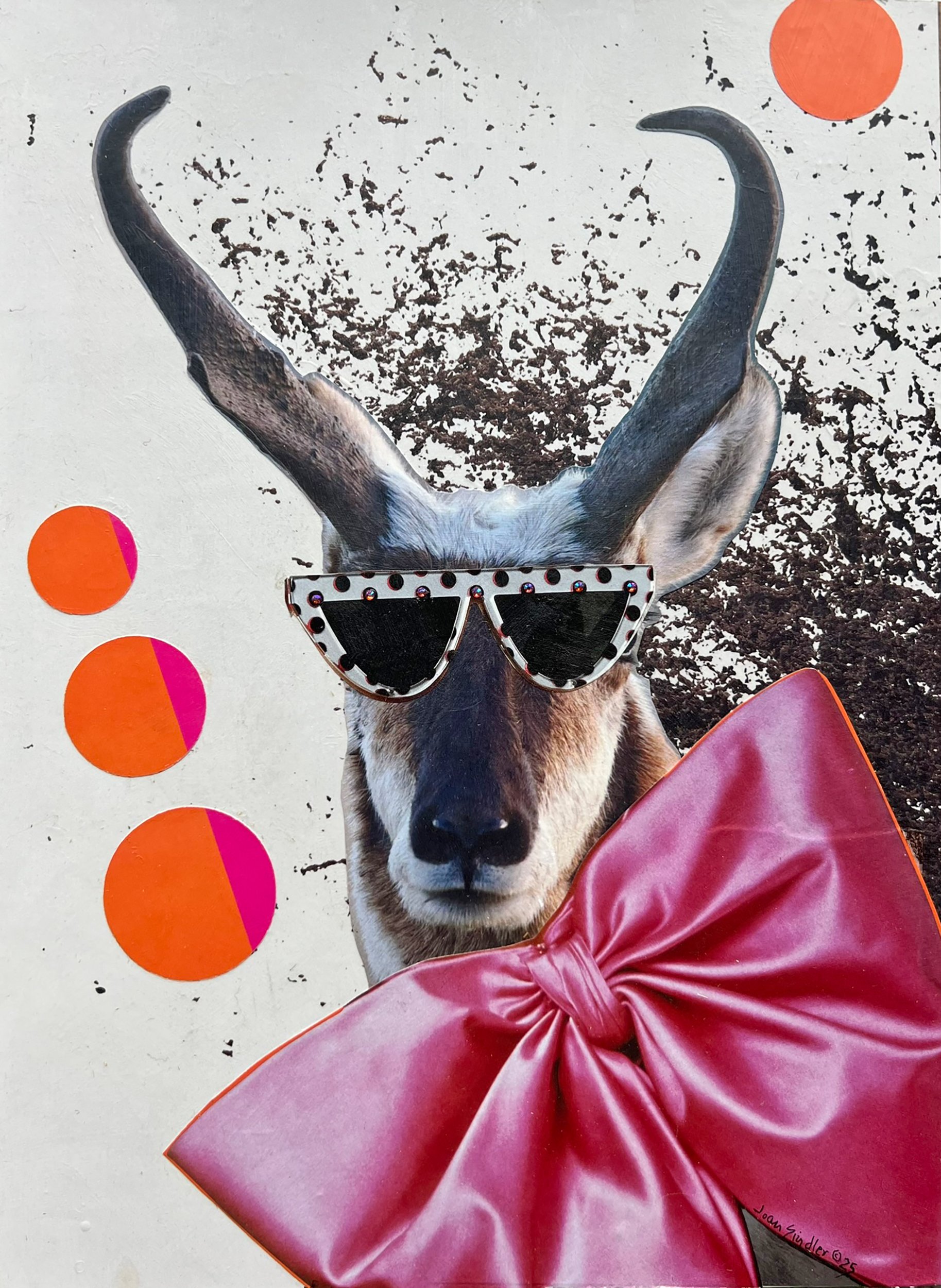 A collage featuring a deer's face with large antlers, wearing black sunglasses with colorful stones around the frames, a big pink bow tie, and several orange and pink circles on a white background.
