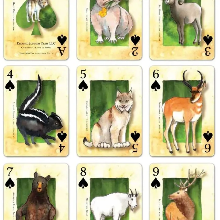 mammals 2.jpg
