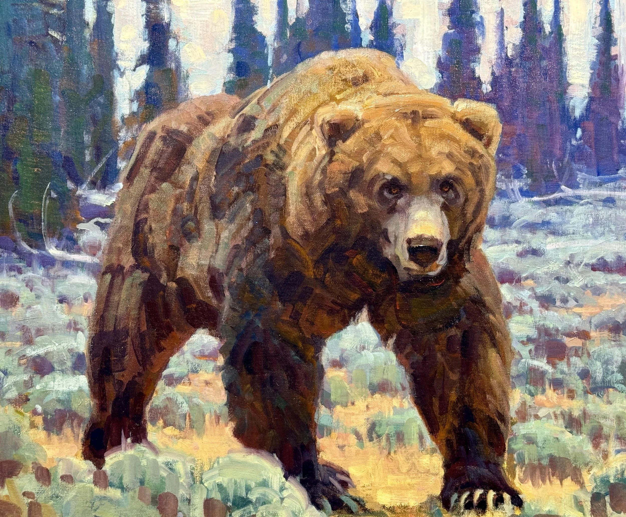 Apex Grizzly