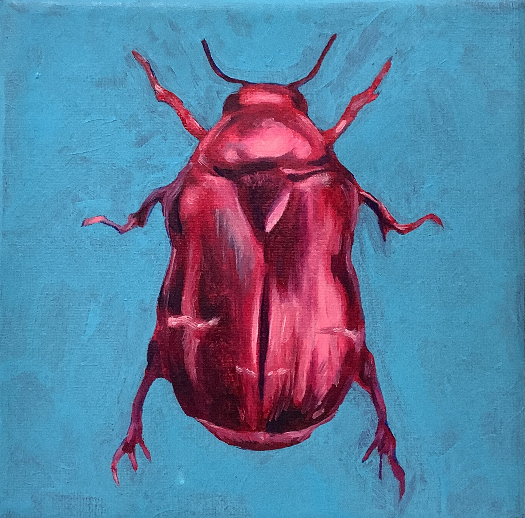 A painting of a red beetle viewed from above against a blue background.