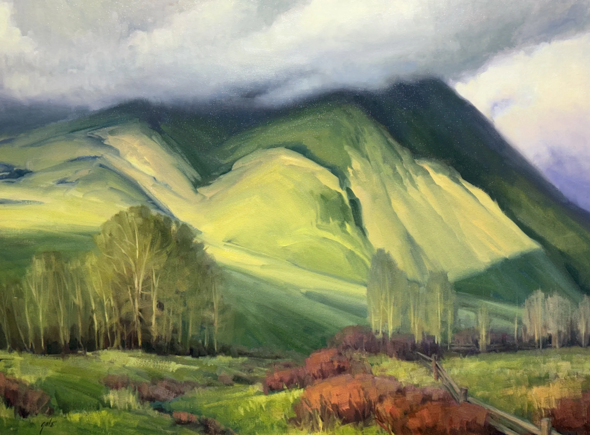 Clouds on the Mountain