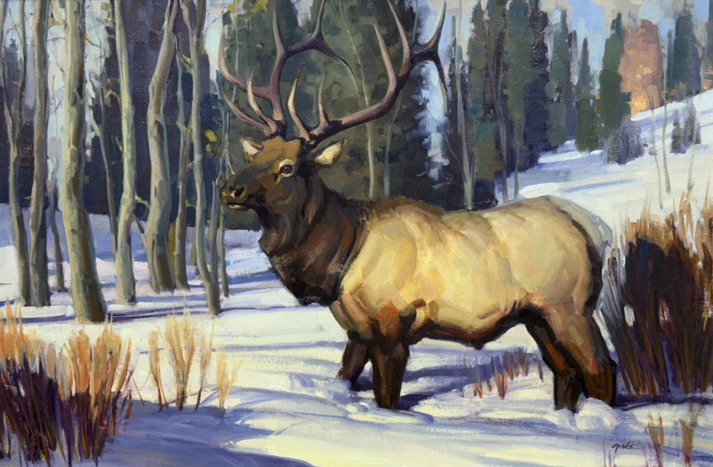 November Bull
