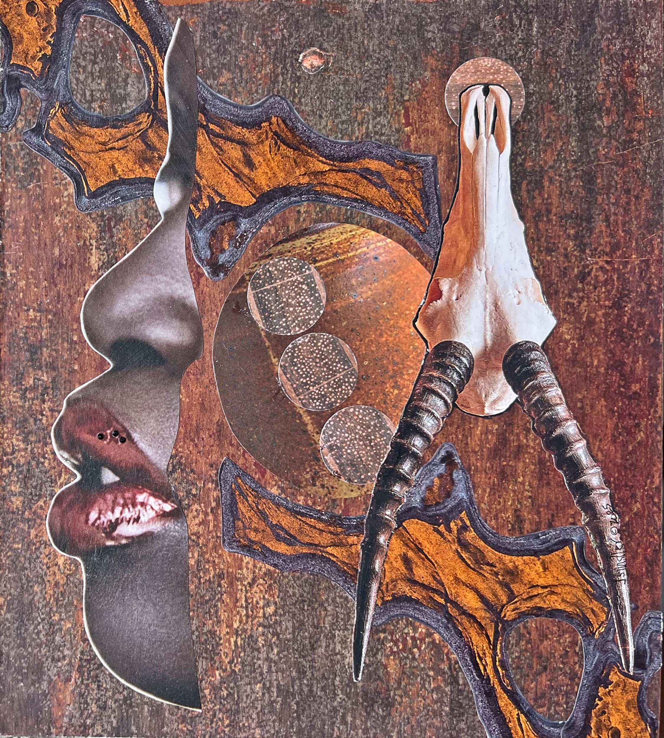 Collage of cut-out faces and animal skulls arranged on a rusty, textured background.
