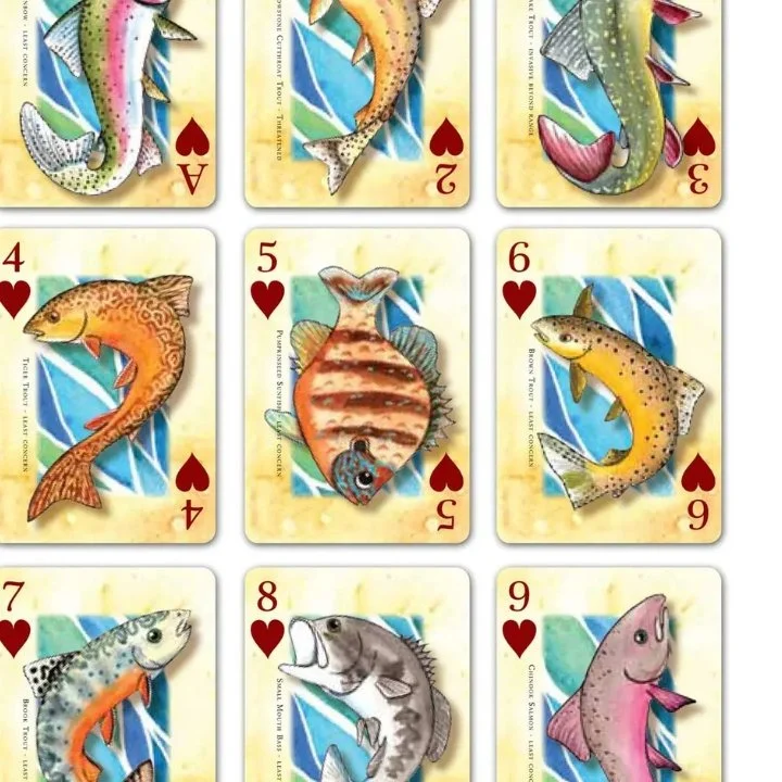 fish2.jpg