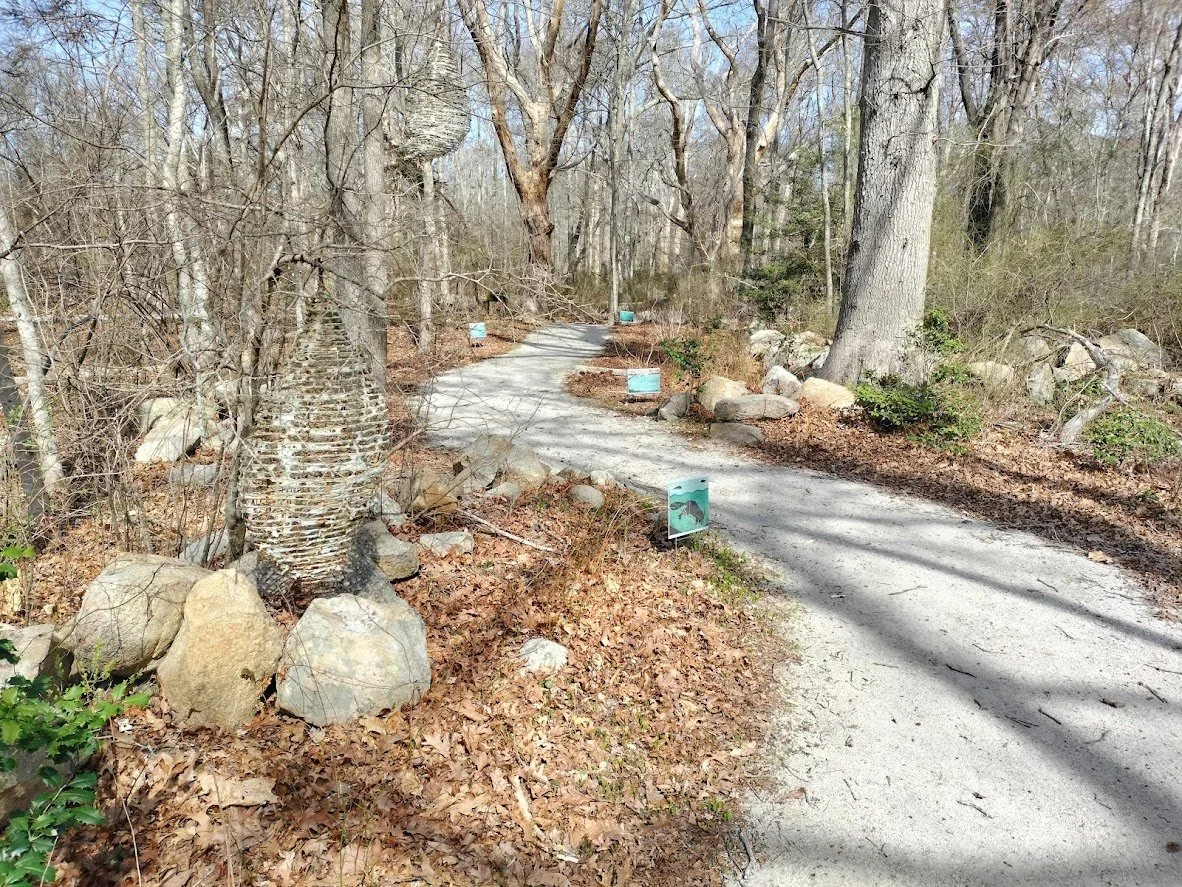 A winding gravel path through a wooded area with bare trees, rocks, and fallen leaves lining the trail.