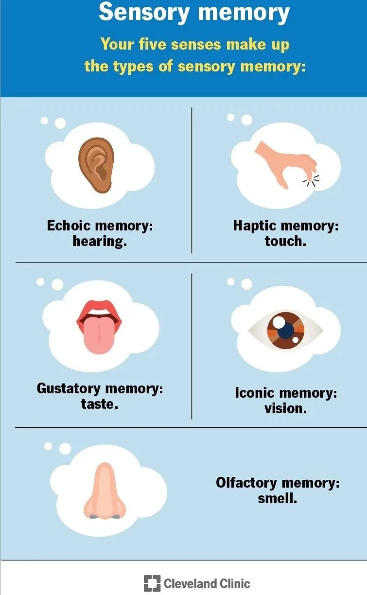 An infographic titled “Sensory memory” explains five types of sensory memory with illustrations.