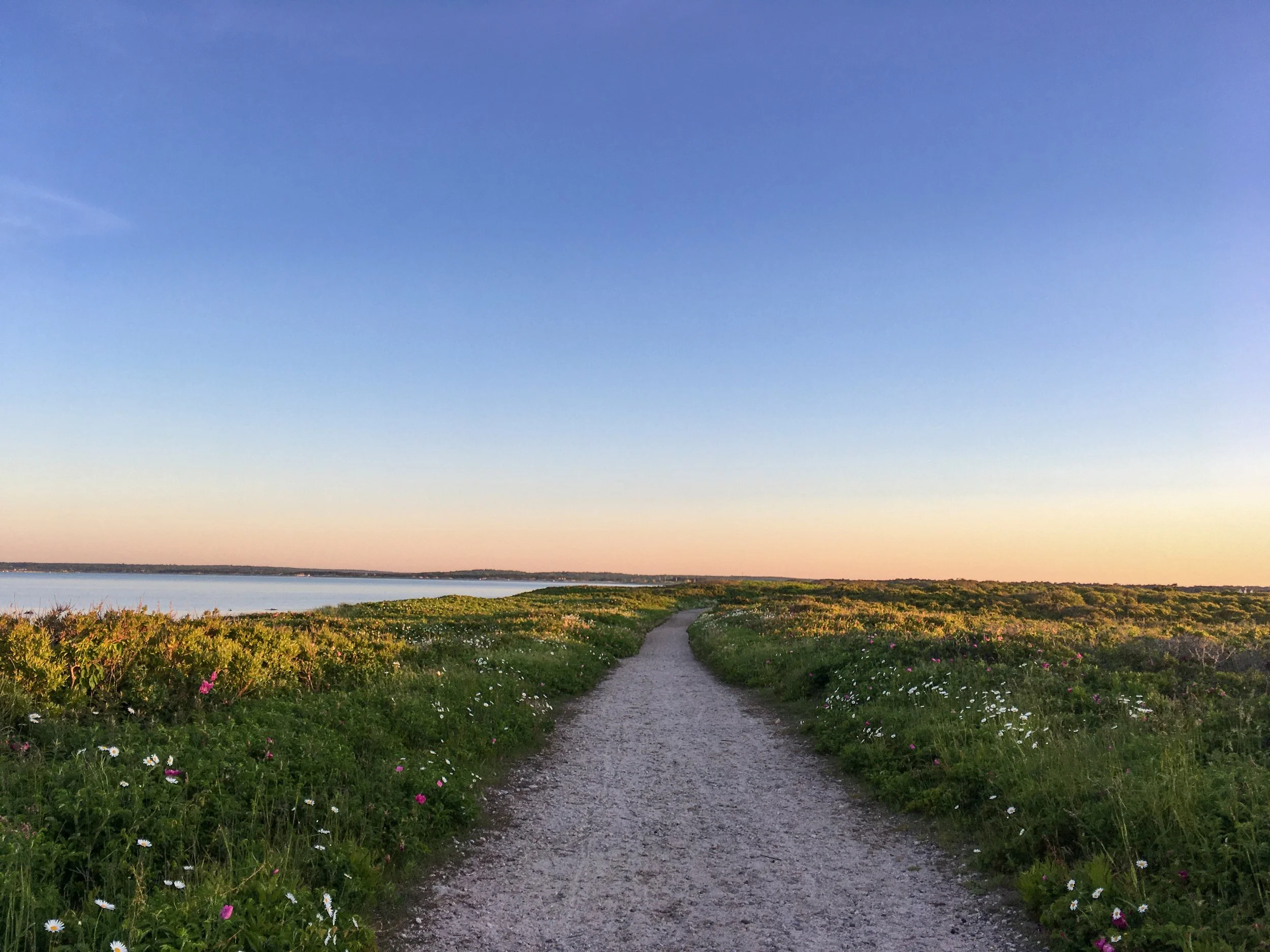 A sandy path winds through grassy coastal vegetation toward the water under a clear sky.