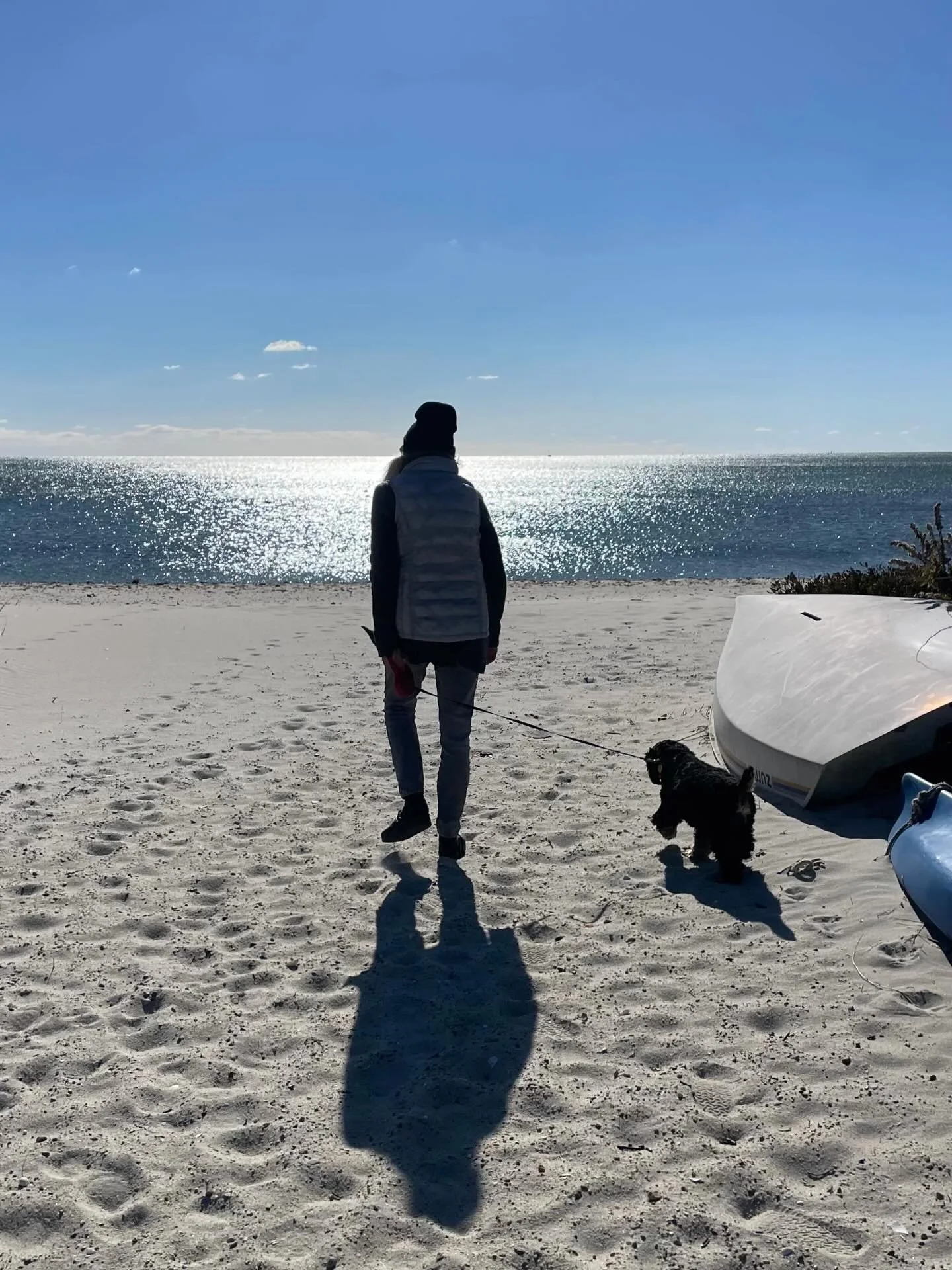 Perhaps the title is enough: &ldquo;Travels with Gracie: The Day Steve Inskeep* Told My Story.&rdquo;

Head on over to our blog to read author Lorna Miles&rsquo; amazing tale story. Link in the bio.
&bull;
@ereiss
@bartholomaystudio
@veganf