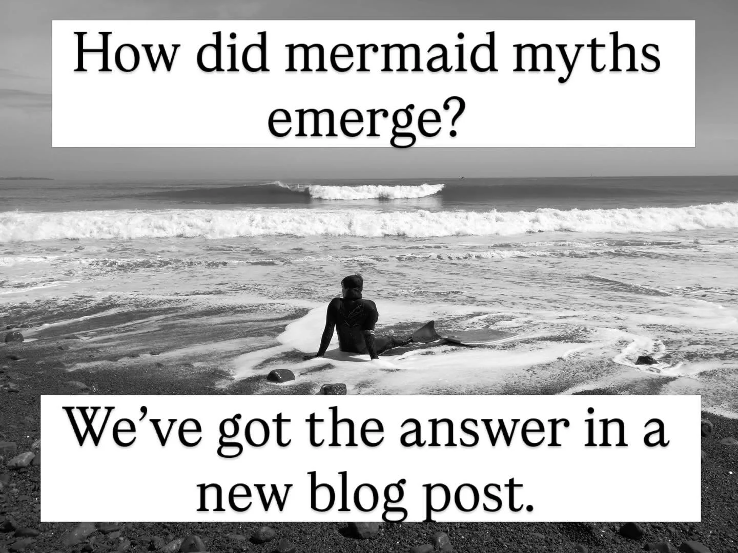 How did mermaid myths emerge? Sailors squinting towards the horizon have long reported a variety of unidentifiable sea creatures, many of whom they&rsquo;ve dubbed mermaids.

Head over to our blog for more on this, along with the South Coast&rsquo;s 
