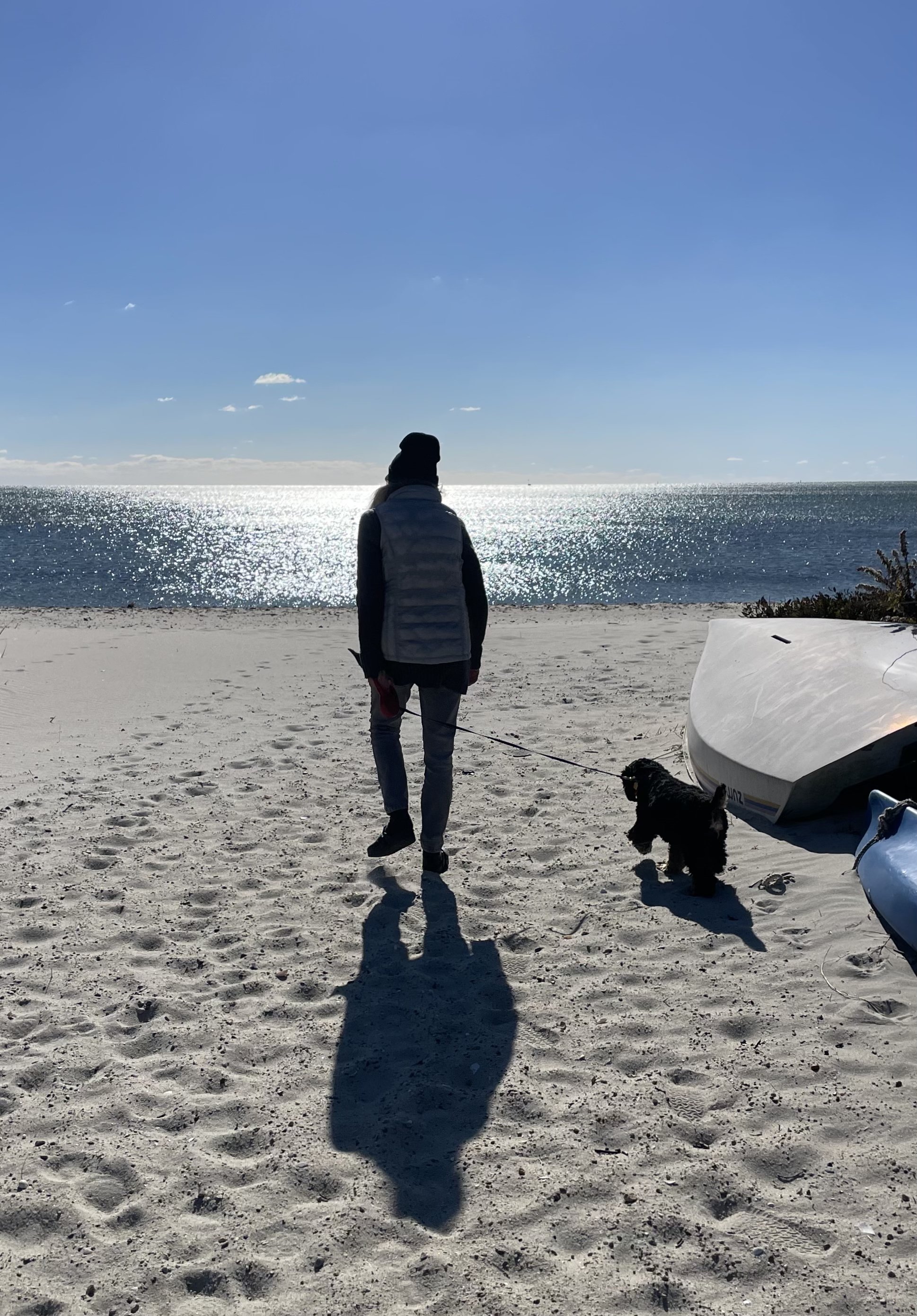 Travels With Gracie: Nighttime and Daffodils