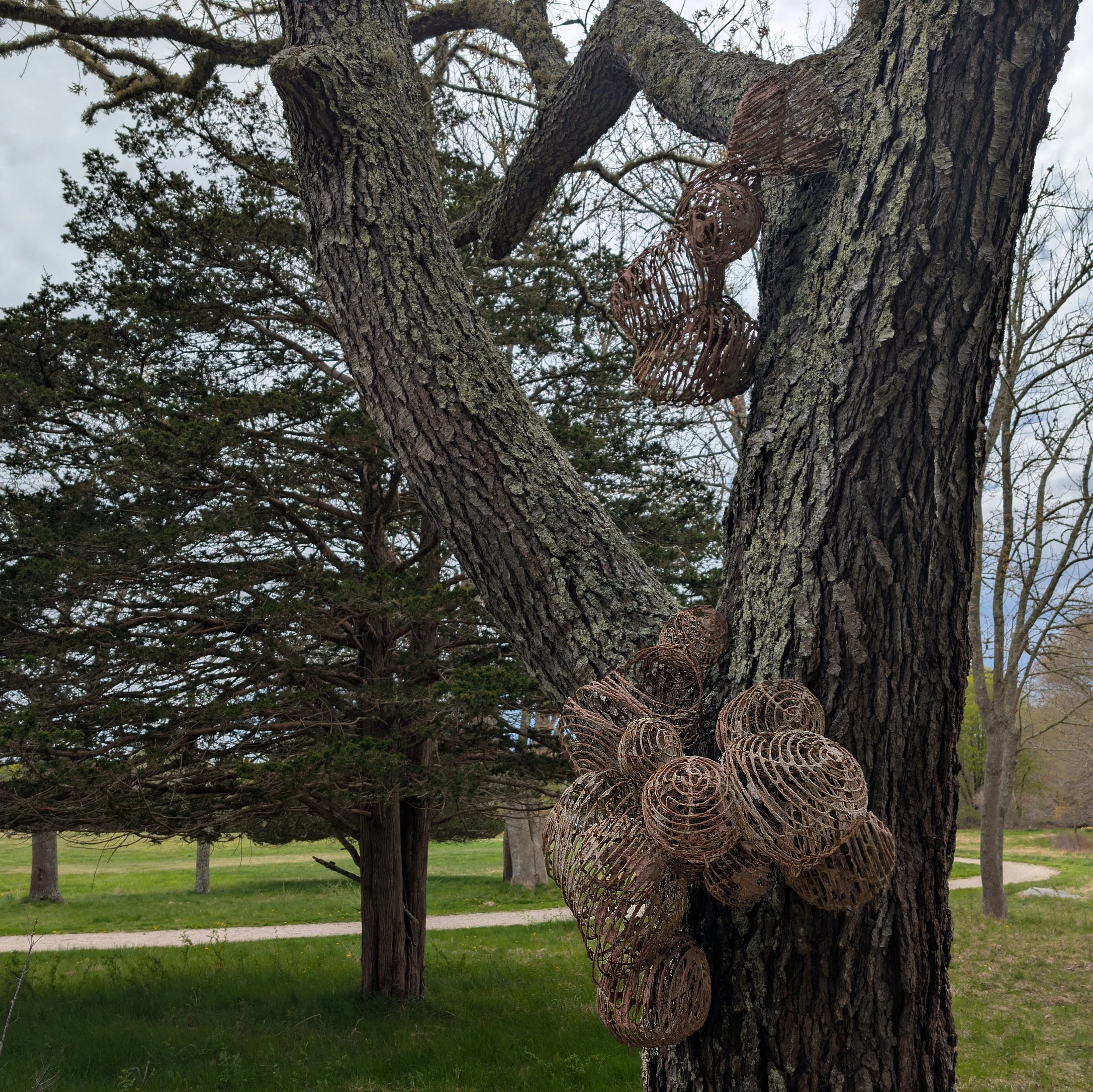 BallTreeArtWestportWoods.jpg