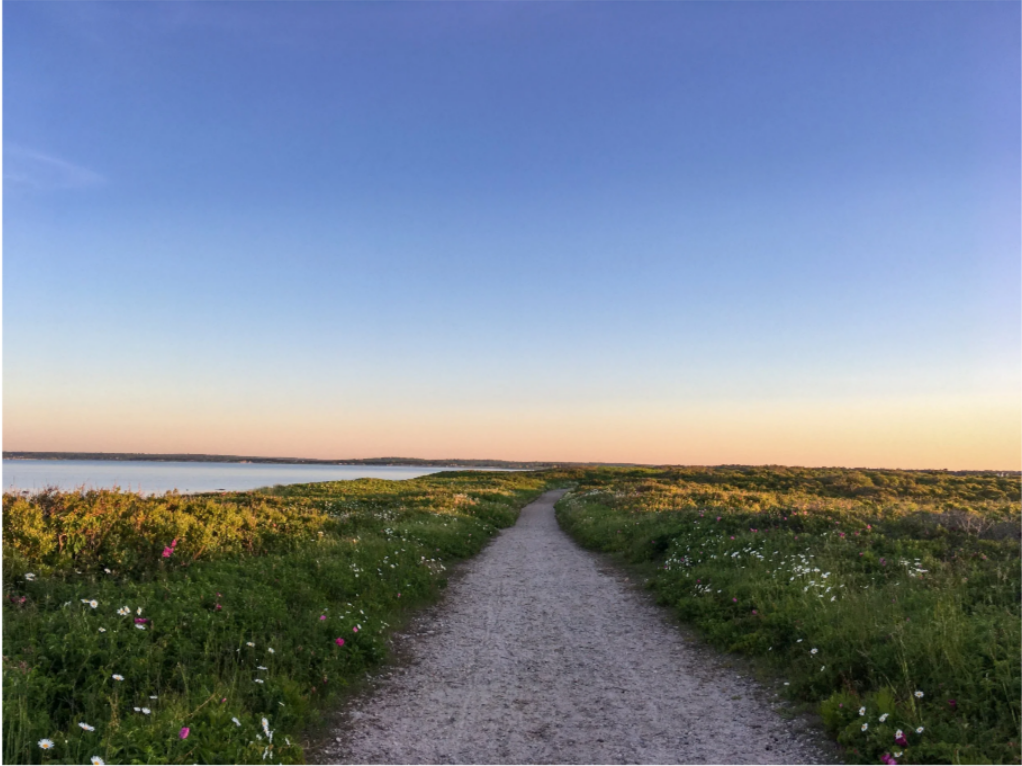Land, Water, Spirit… and Ecowriters
