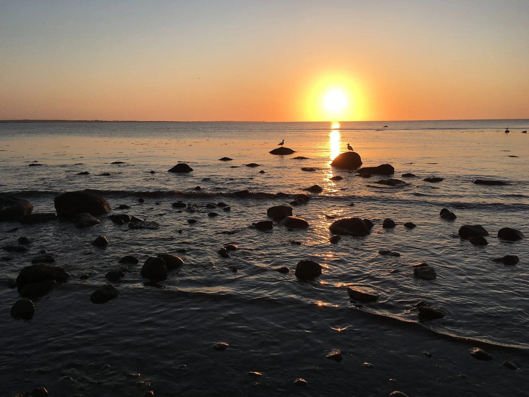 Summer’s Crowning Day: The Solstice