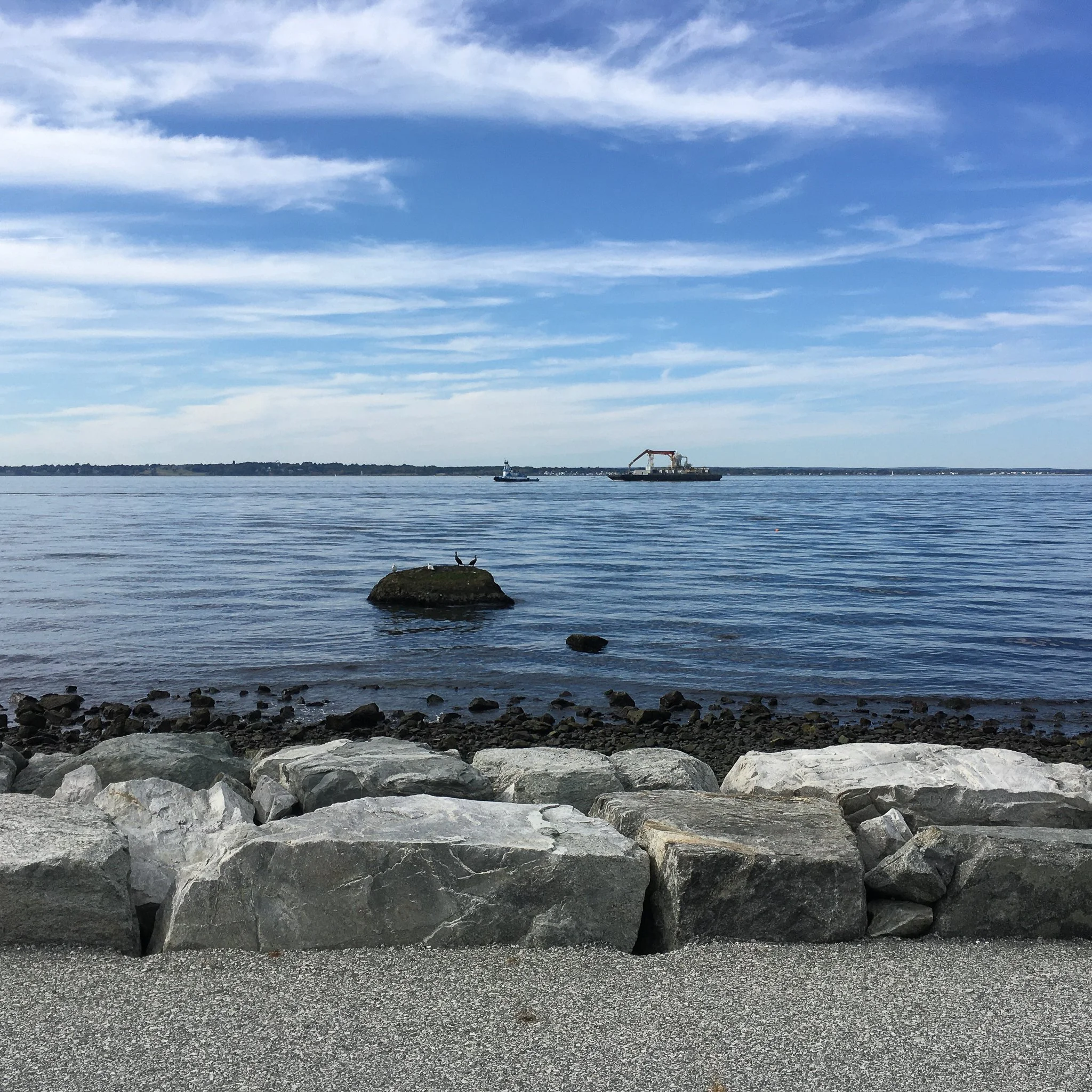 Rocky shoreline overlooking calm water, with a small boat in the distance